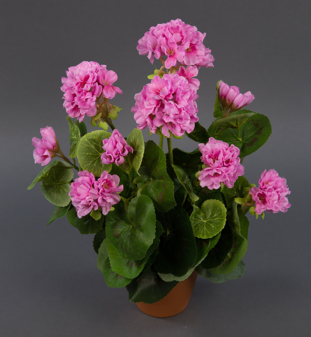 Geranie 36cm rosa -ohne Topf- LM Kunstpflanzen künstliche Blumen Pflanzen Kunstblumen