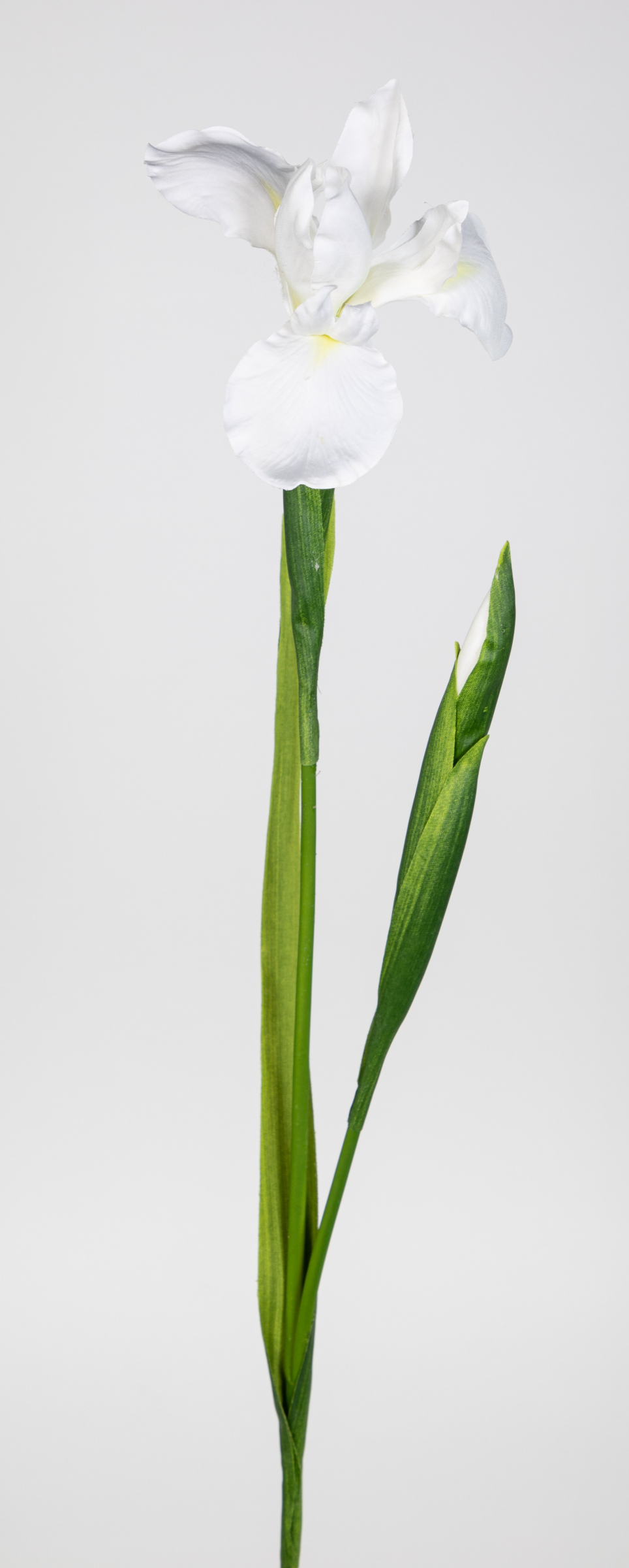Schwertlilie / Iris 76cm weiß CG Kunstblumen Dekoblumen künstliche Blumen Seidenblumen