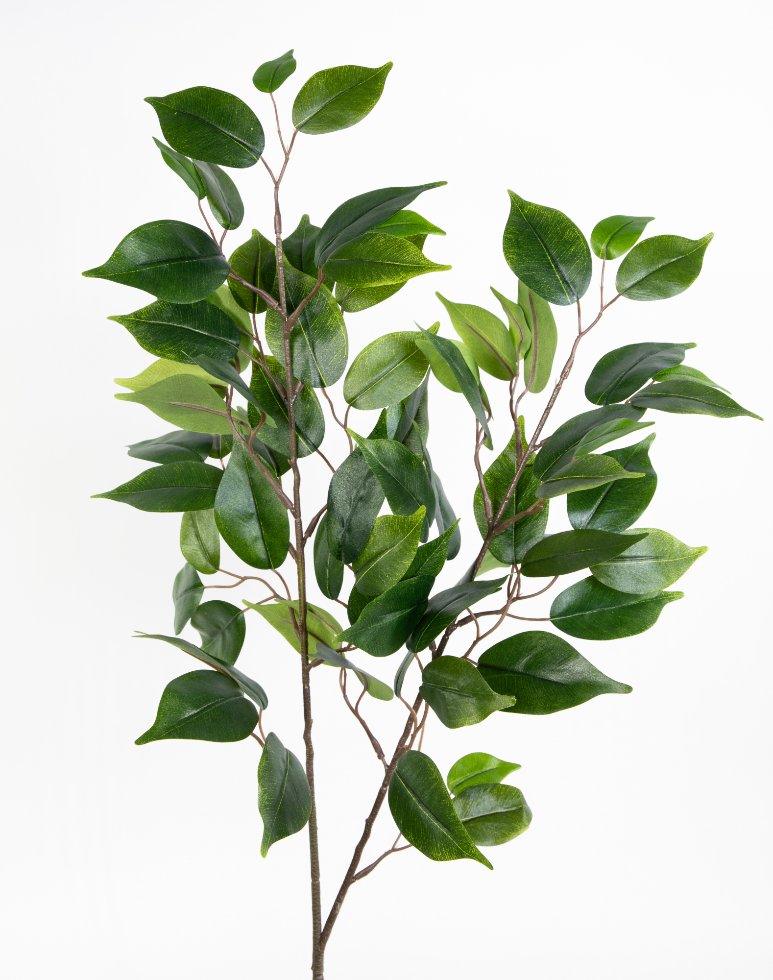 Ficuszweig 60cm grün mit 78 Blättern LA künstlicher Zweig Ficus Birkenfeige