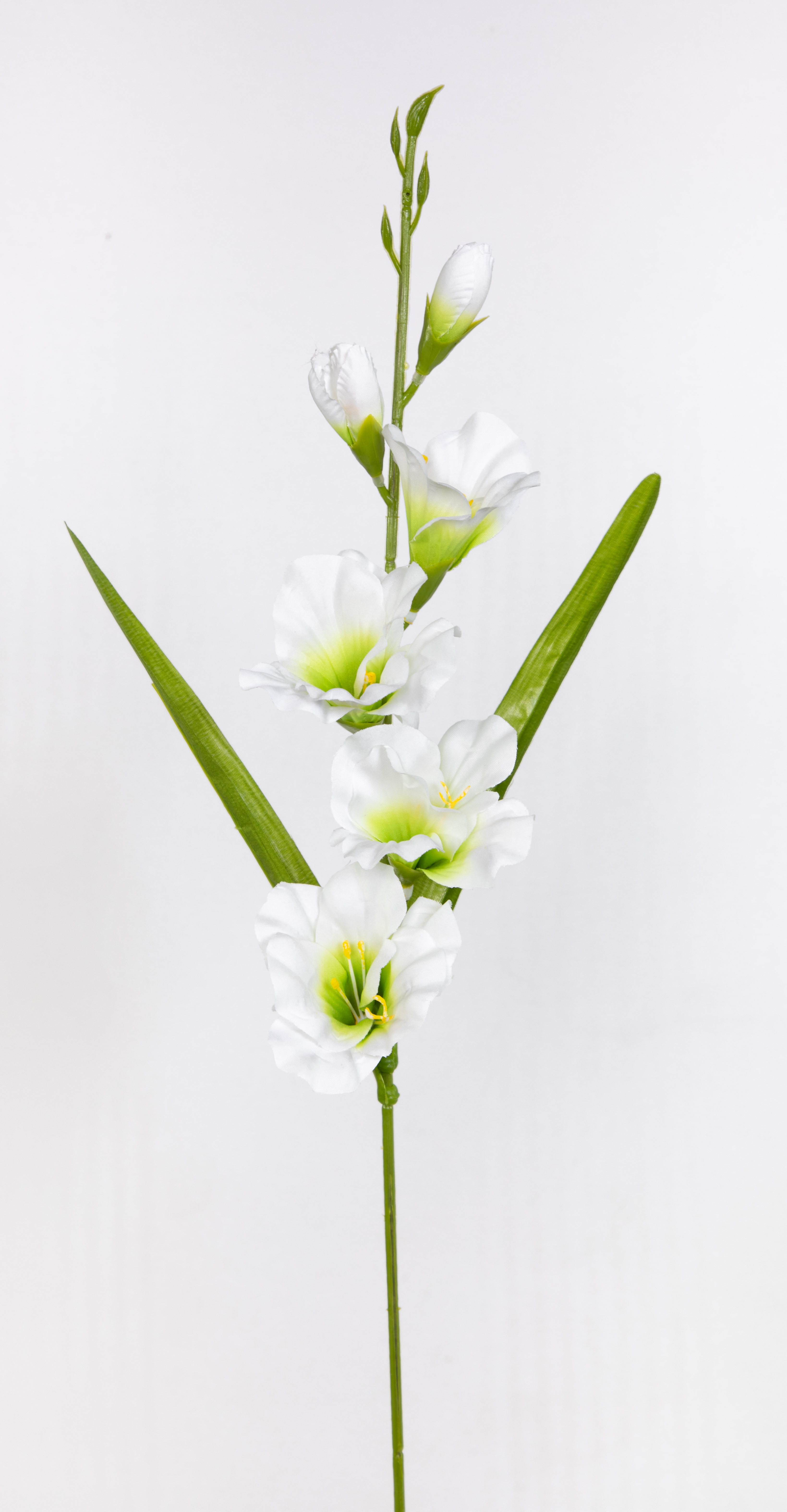 Gladiole 60cm weiß FT Kunstblumen künstliche Schwertblume Blumen