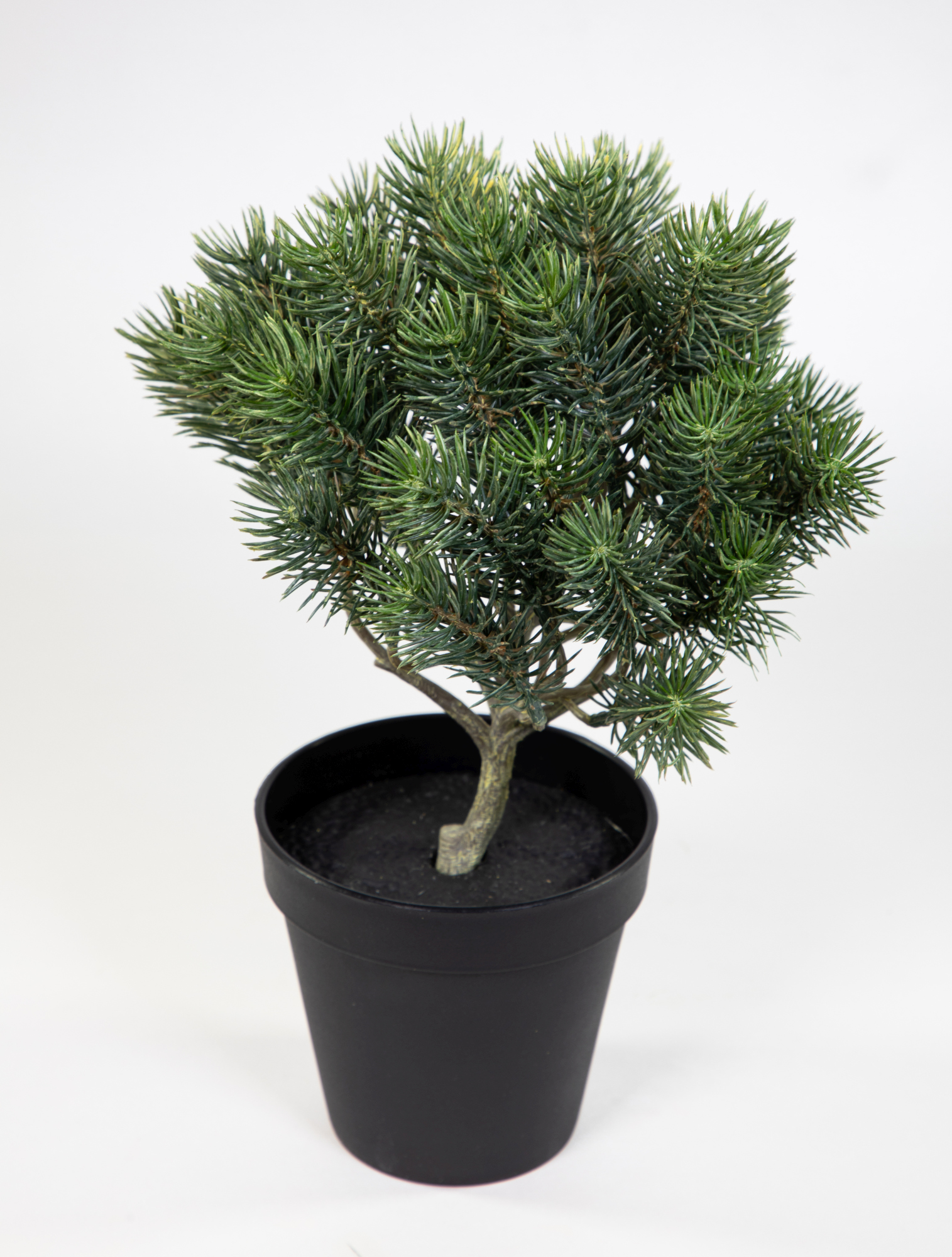Tannenbusch grün-grau 28cm im Topf CG Kunstpflanzen künstliche Tanne Kunststoff Spritzguss 100% PE