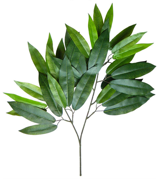 Mangozweig 60cm mit 36 Blättern DA Kunstzweig künstlicher Blattzweig Mango Mangoblatt