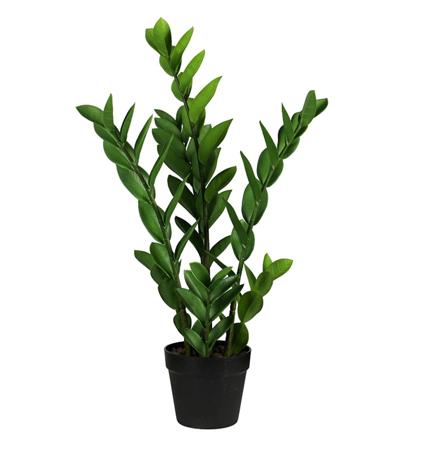 Zamioculcas Zamiifolia / Glücksfeder 65cm LA Kunstpflanzen künstliche Pflanzen Zamii