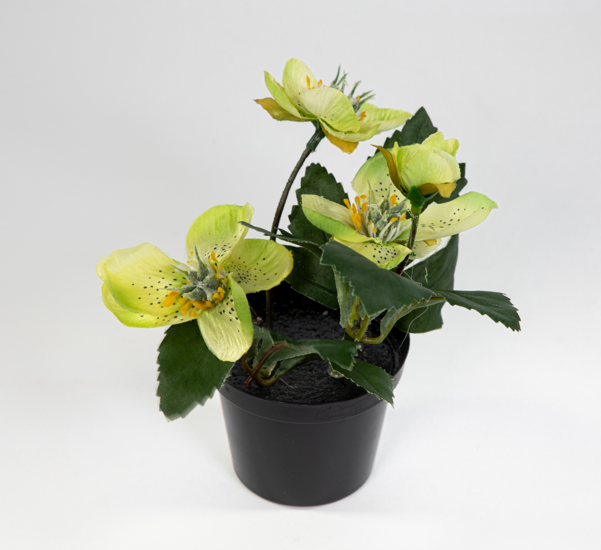 Mini Christrose 15cm grün im Topf DP Kunstblumen künstliche Helleborus Blumen Pflanzen Kunstpflanzen