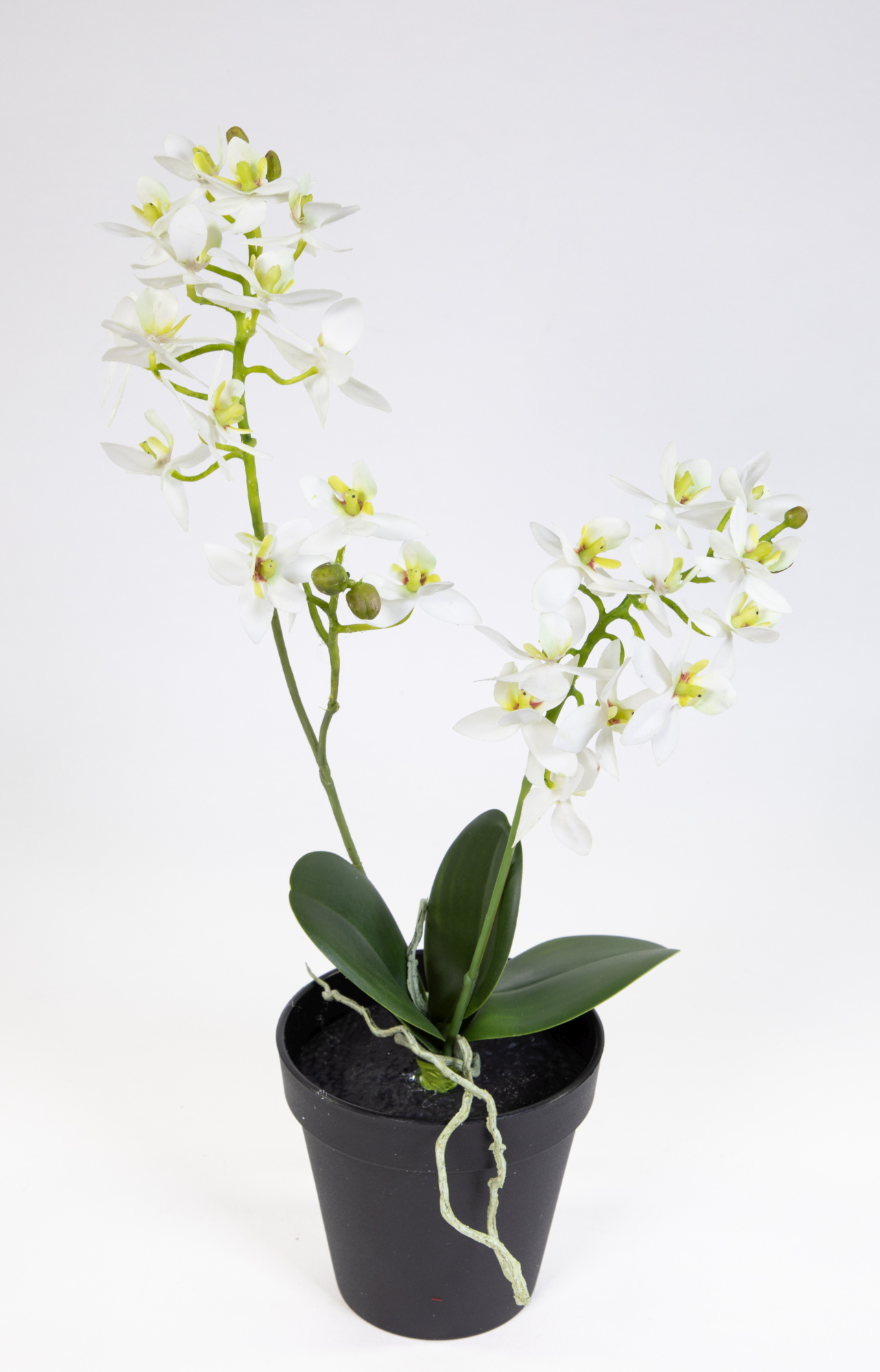 Künstliche Orchidee 38cm weiß im Topf DP Blumen Pflanzen Kunstblumen Kunstpflanzen