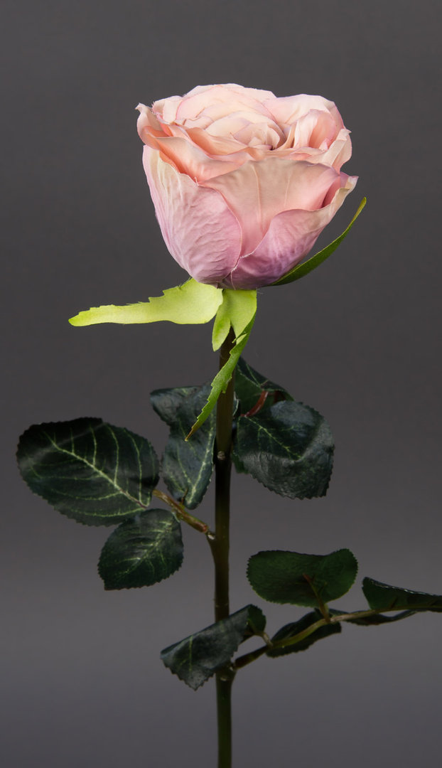 Gartenrose 42cm rosa-pink GA Kunstblumen Seidenblumen künstliche Blumen Rose