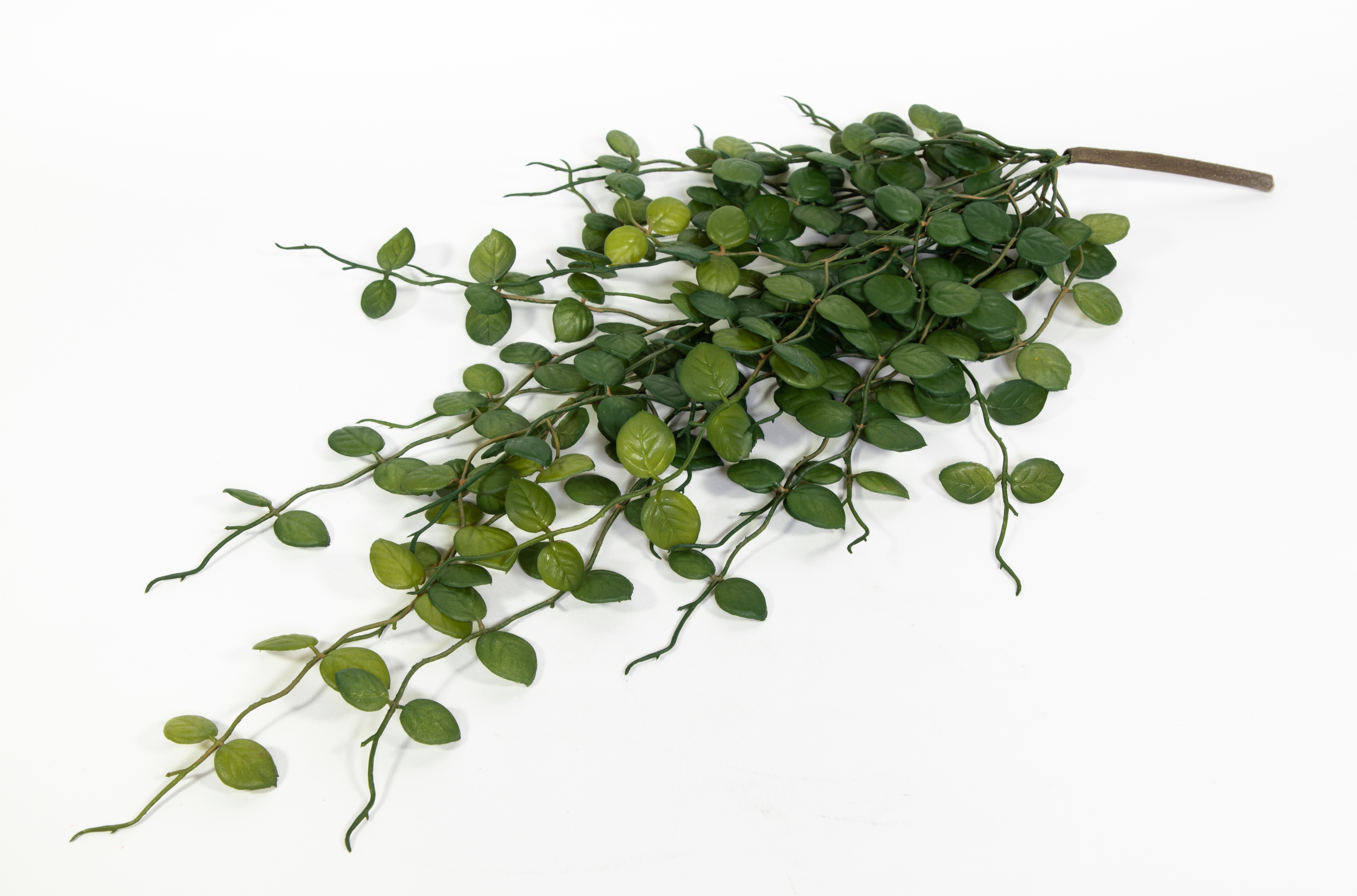 Ceropegia-Ranke / Leuchterblumen-Ranke 60cm FT Kunstpflanzen künstliche Pflanzen Ranken Kunstranken