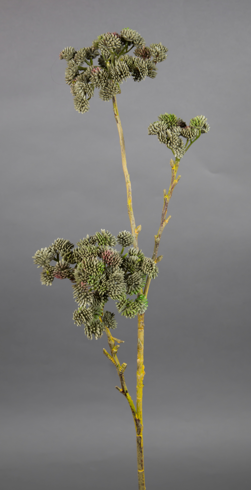 Beerenzweig Natural 76cm grau-grün CG Kunstzweig künstliche Zweige Kunstpflanzen künstliche Beeren