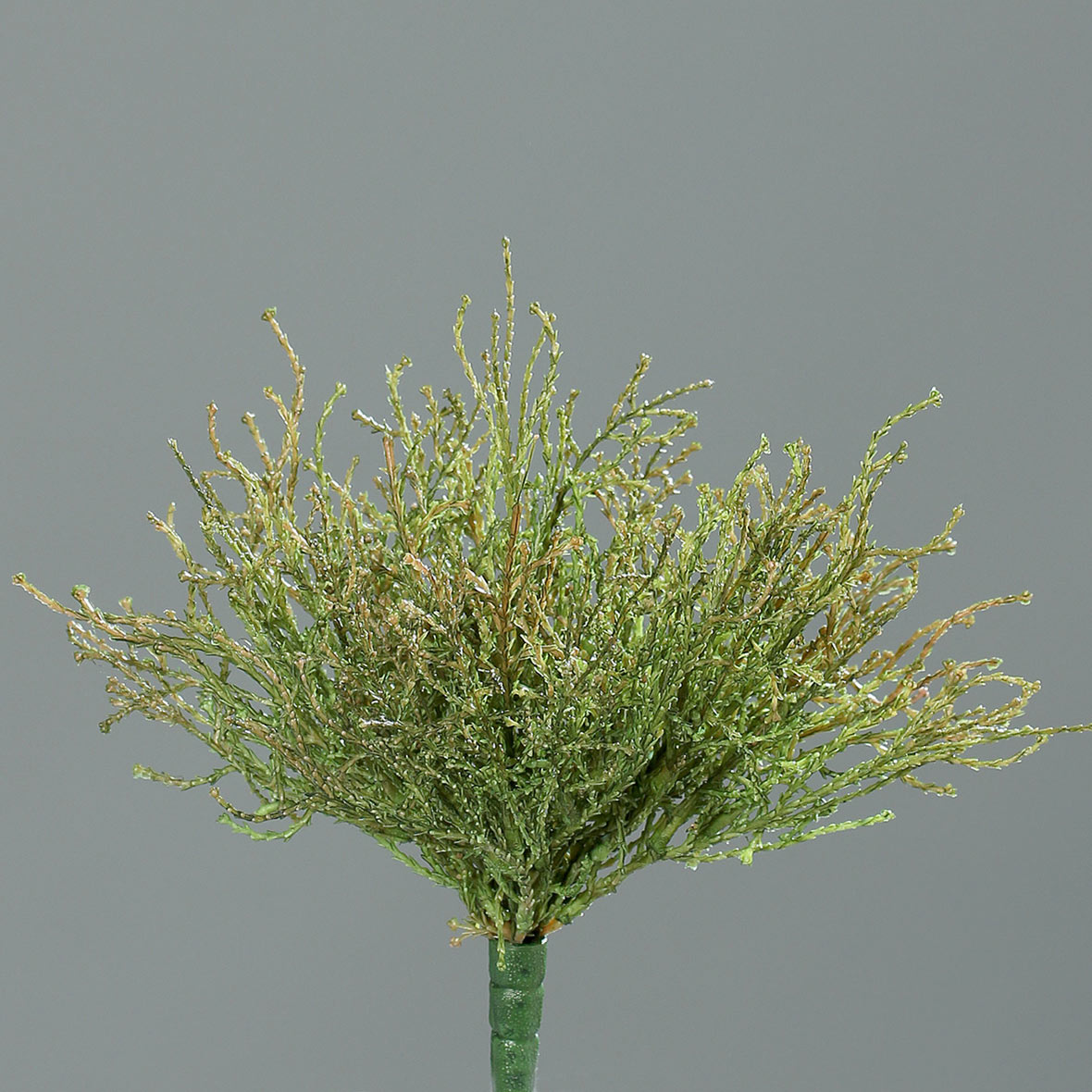 Calocephalus / Silberkörpchen 22cm grün-braun DP Kunstpflanzen künstliche Pflanzen Stacheldrahtpfla