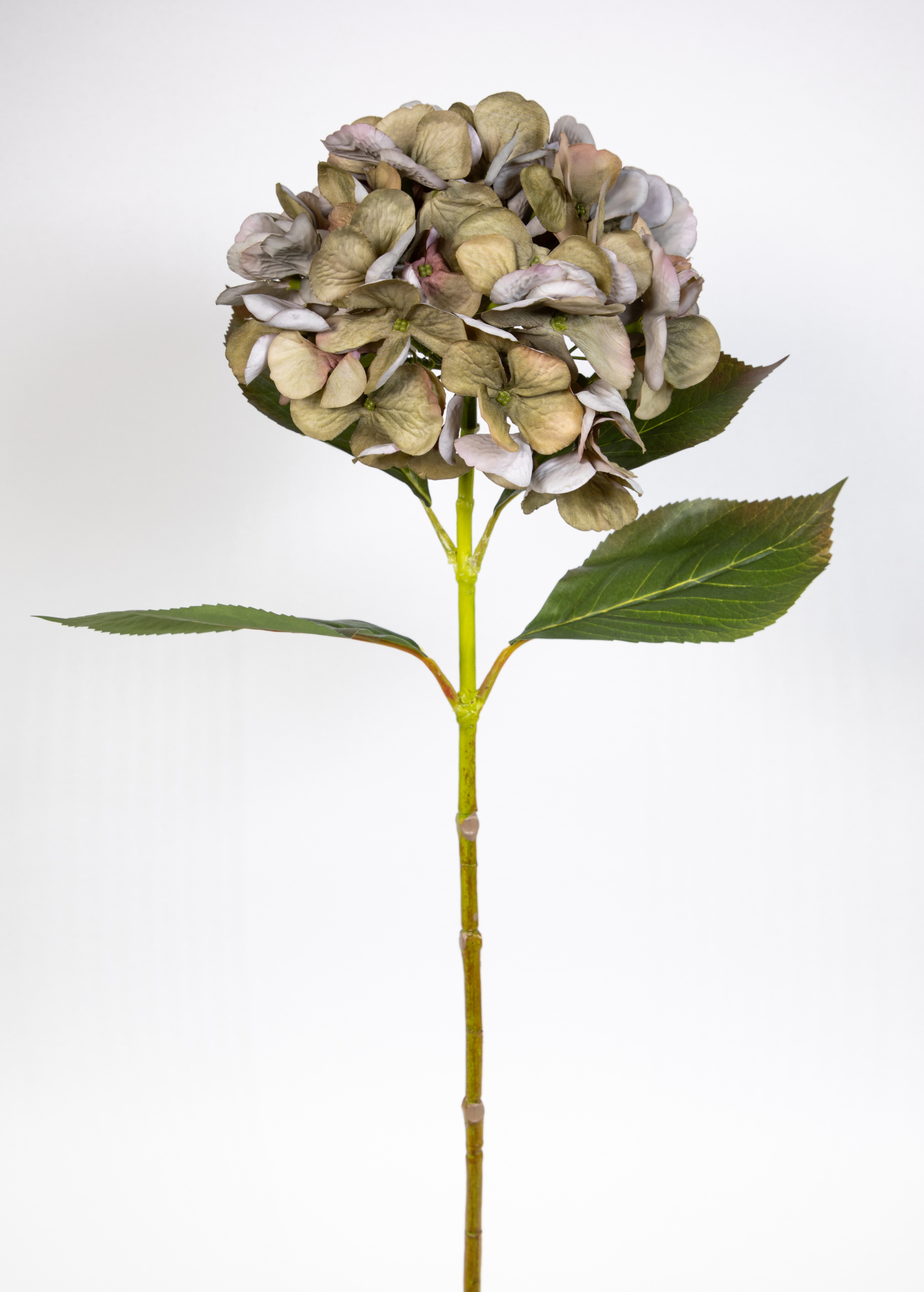 Hortensie 68cm grün-hellrosa GA Seidenblumen Kunstlbumen künstliche Blumen Hortensien Hydrangea