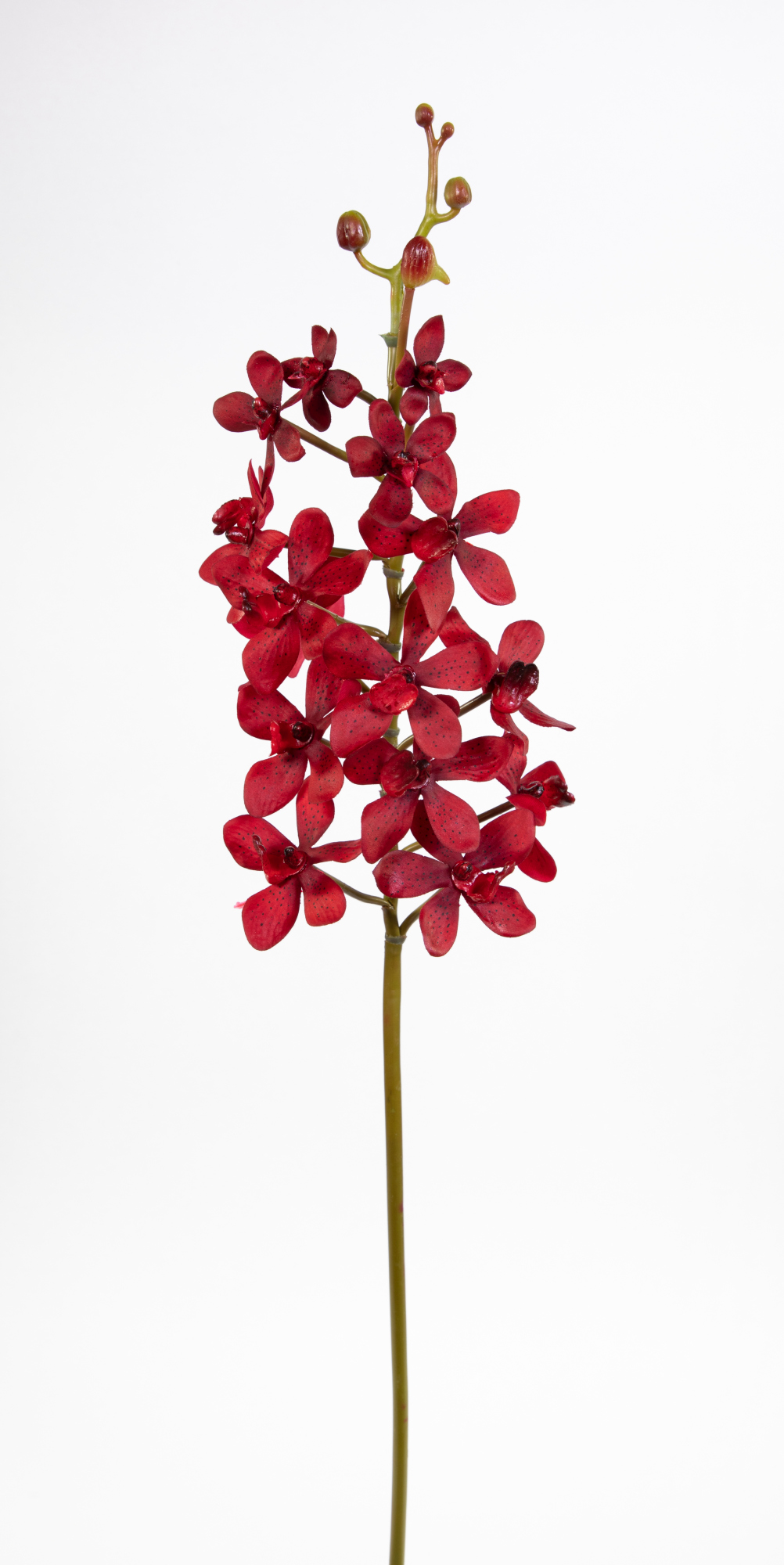 Orchideenzweig Vanda 70cm bordeaux CG Kunstblumen künstliche Orchidee Vanda Blumen Pflanzen