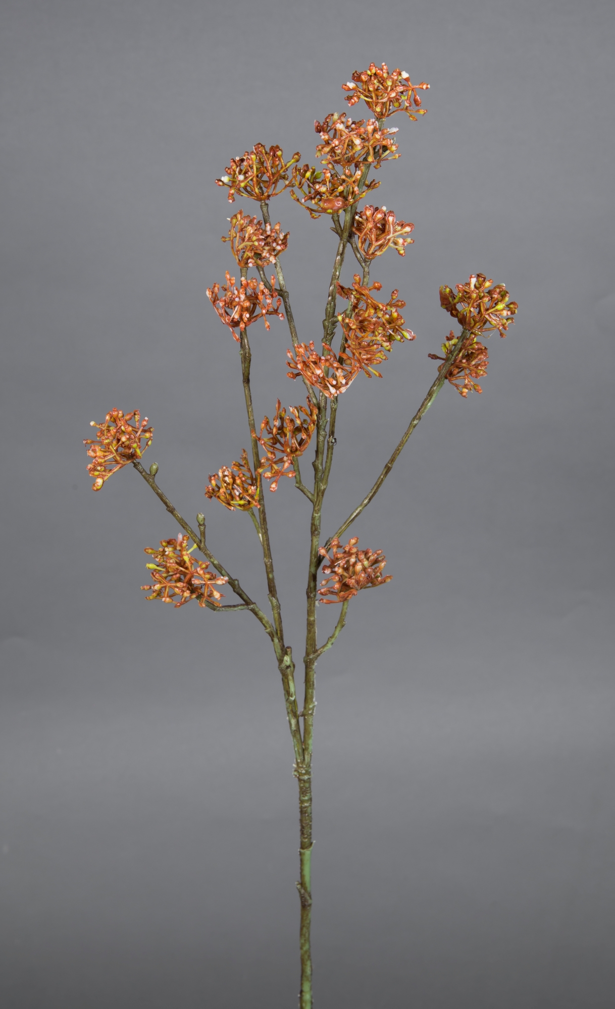 künstlicher braun-orange Zweig Kunstpflanzen Kunstzweig Reiszweig CG 67cm