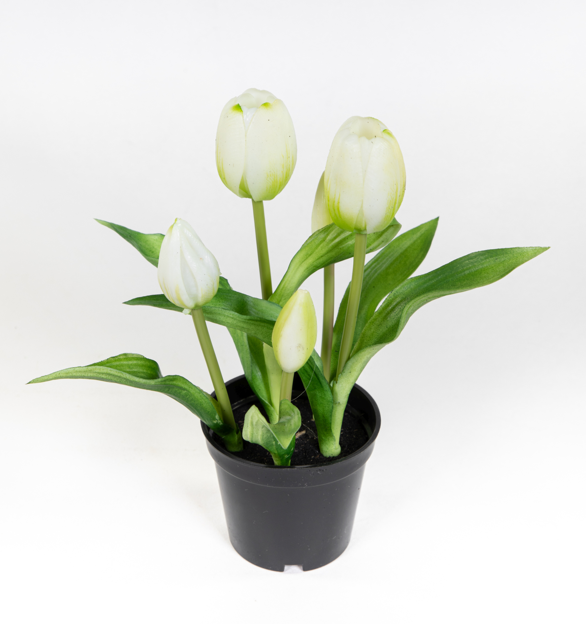 Tulpen Real Touch 24cm weiß im Topf ZF Kunstpflanzen künstliche Pflanzen Tulpentopf