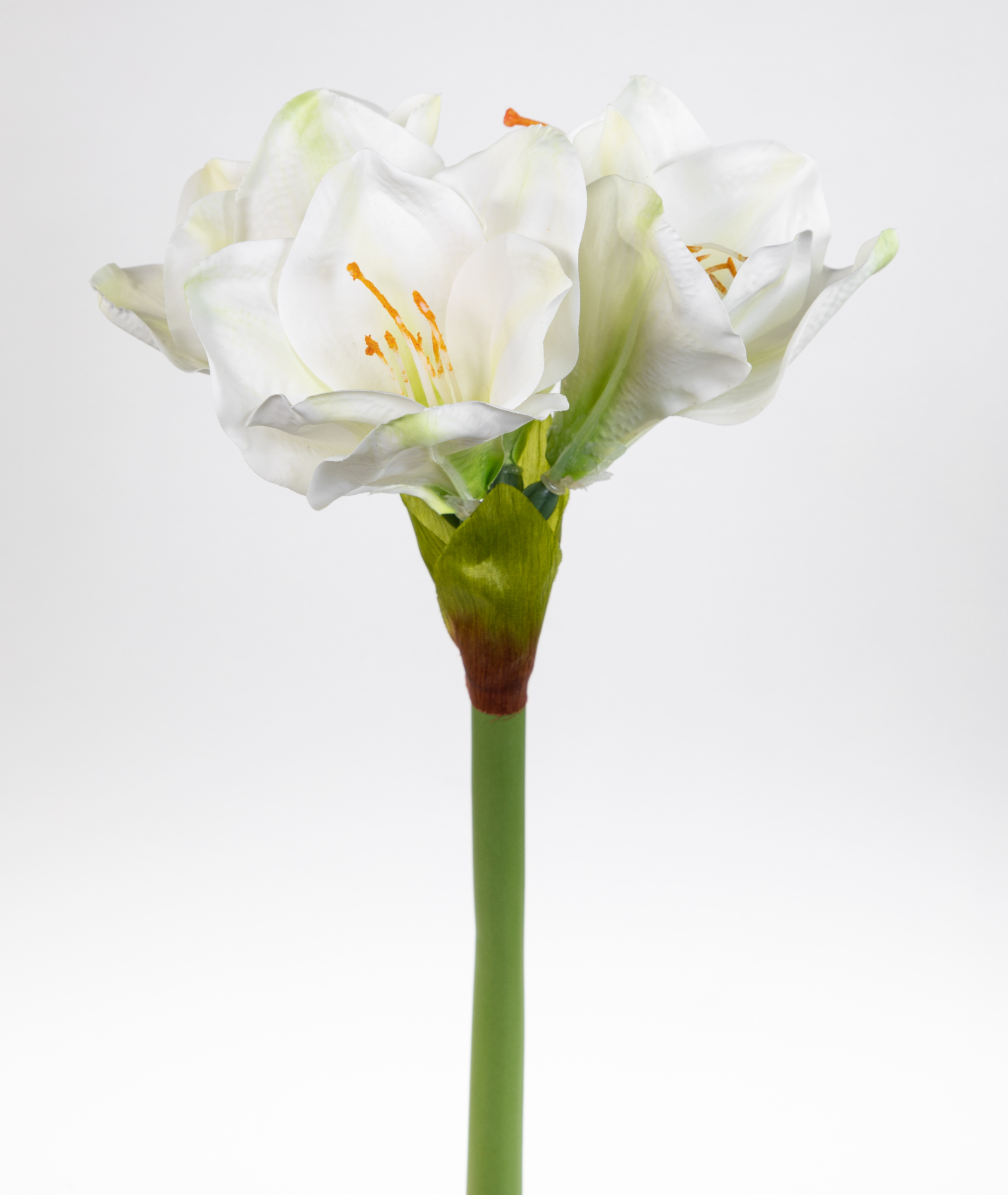 Amaryllis Real Touch 58cm weiß GA Kunstblumen künstlicher Ritterstern Blumen Pflanzen
