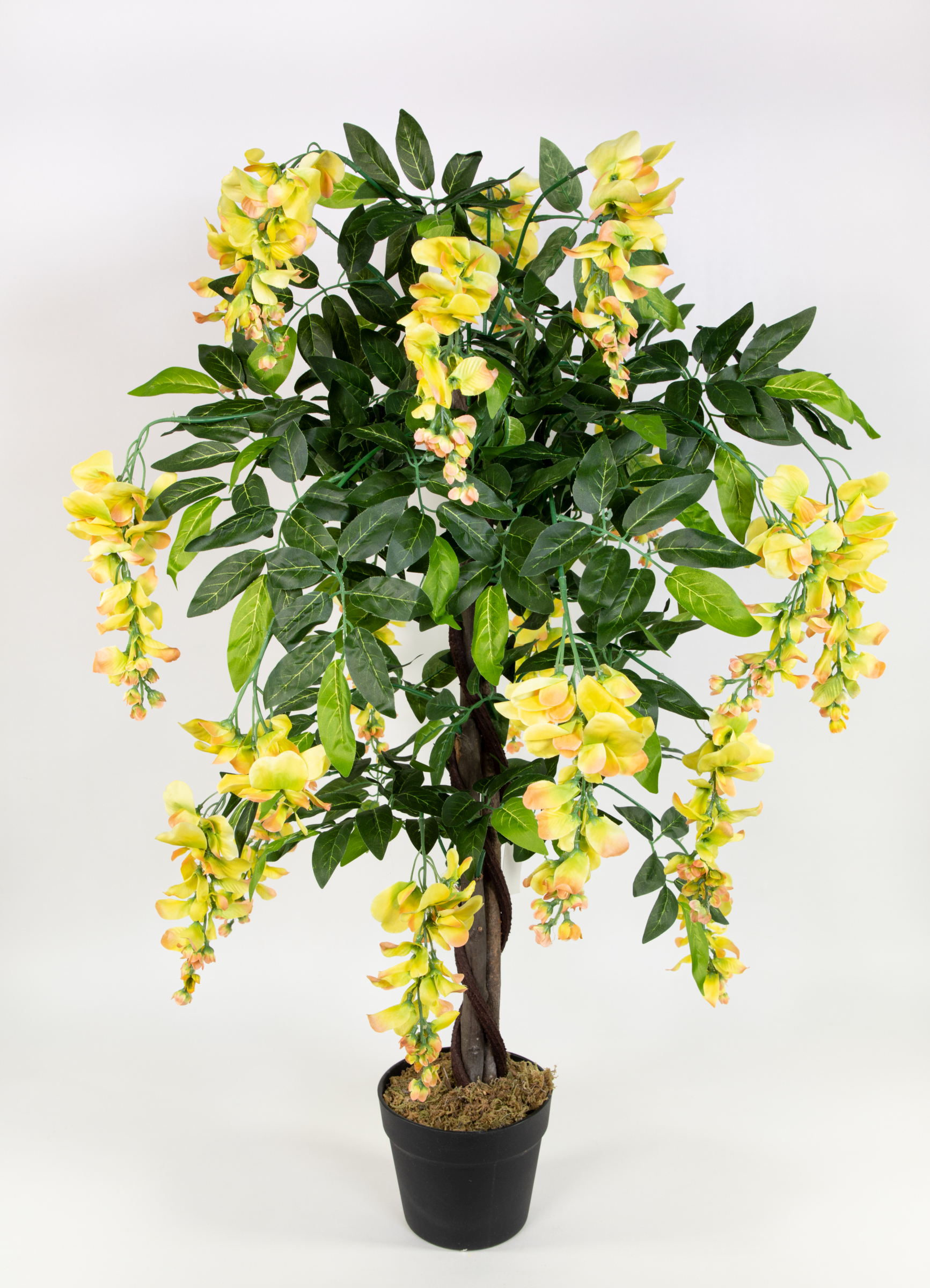 Wisteriabaum 90cm gelb ZJ Kunstbaum Kunstpflanzen künstlicher Baum Pflanzen Goldregen Wisteria