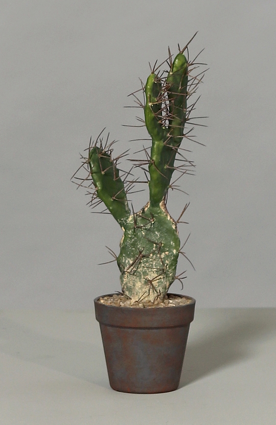 Ohrenkaktus Natura 42cm im Topf DP Kunstpflanzen künstliche Kakteen Pflanzen künstlicher Kaktus Opun