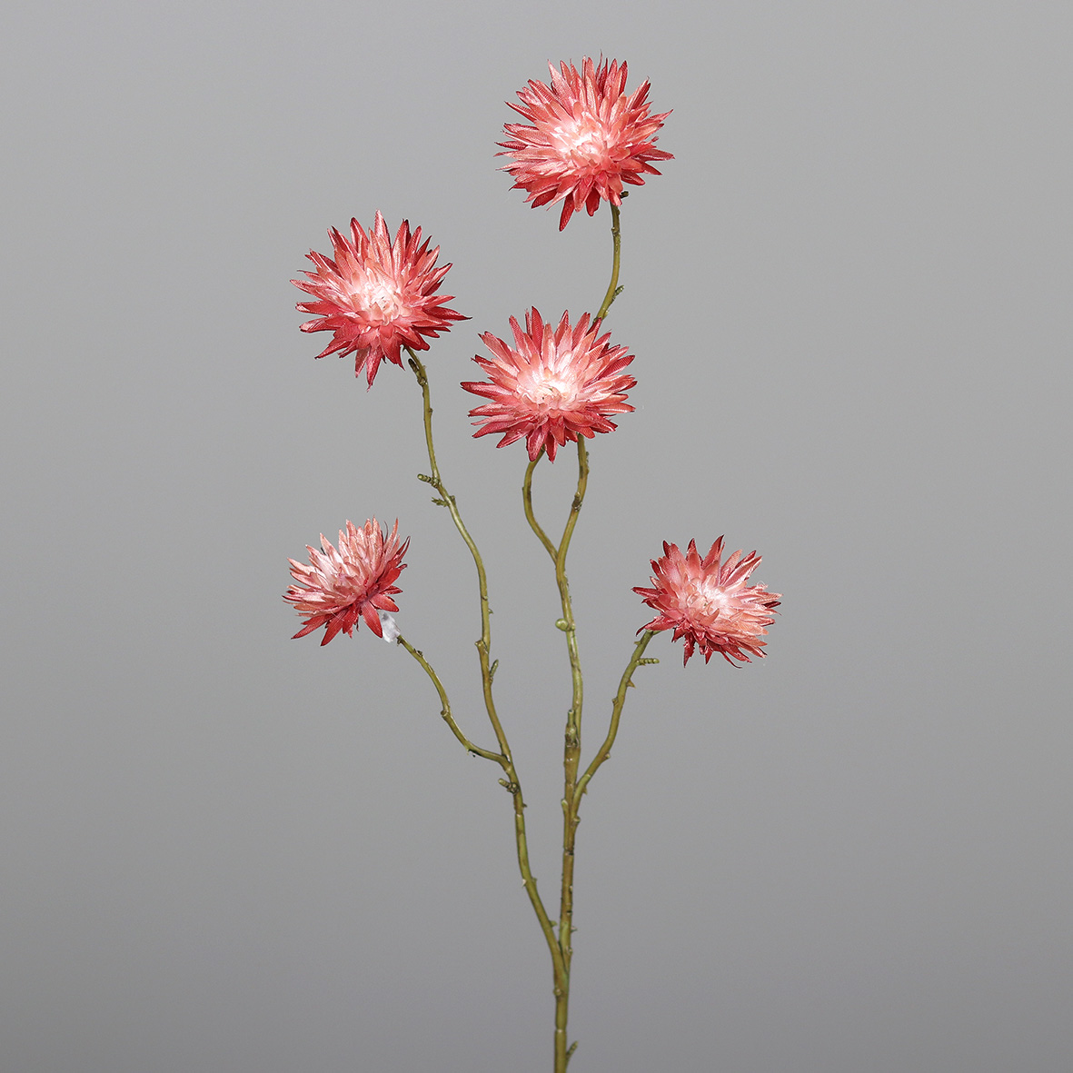 Strohblume 68cm rot-burgund DP Kunstblumen künstliche Blumen Strohblumenzweig