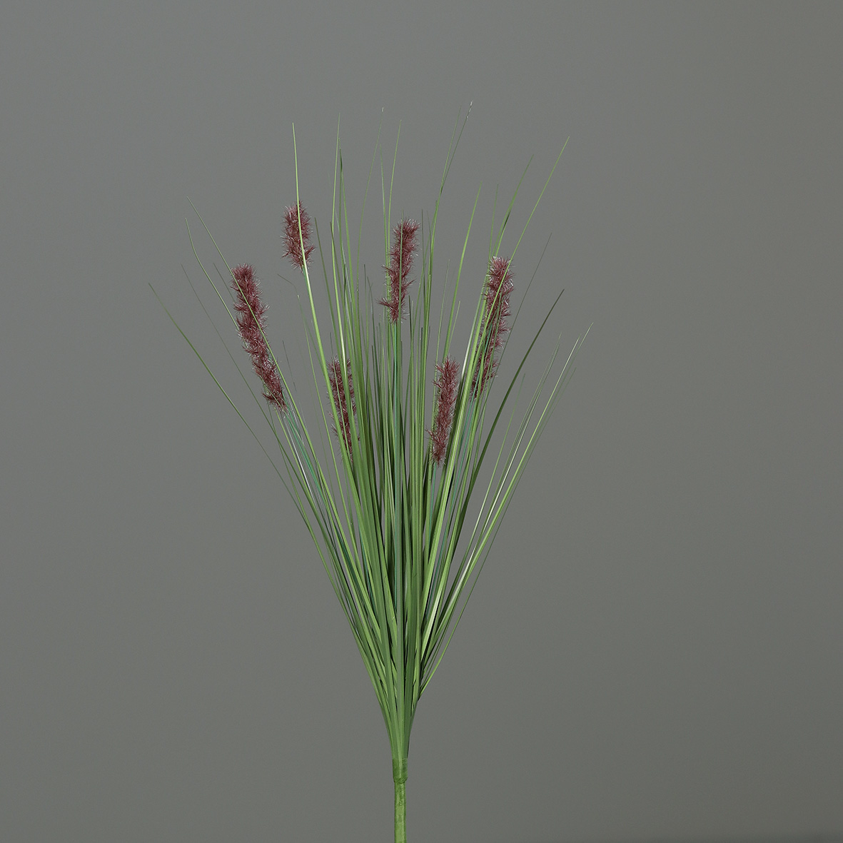 Katzenschwanzgras 60cm braun -ohne Topf- DP Kunstpflanzen Dekogras Grasbusch künstliches Gras
