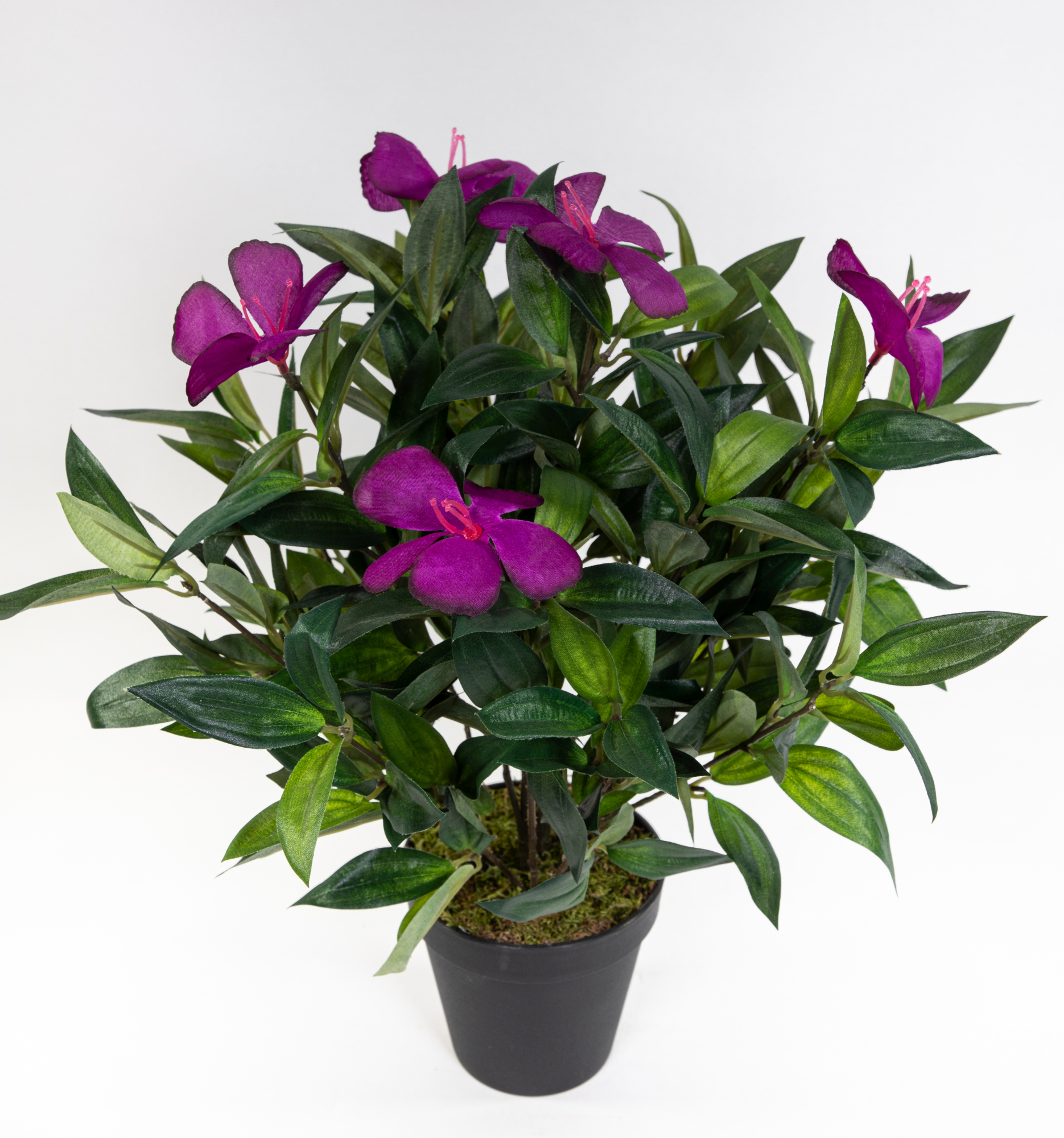 Tococa-Pflanze mit lila Blüten 40cm DA Kunstblumen Kunstpflanzen künstliche Pflanzen Blumen