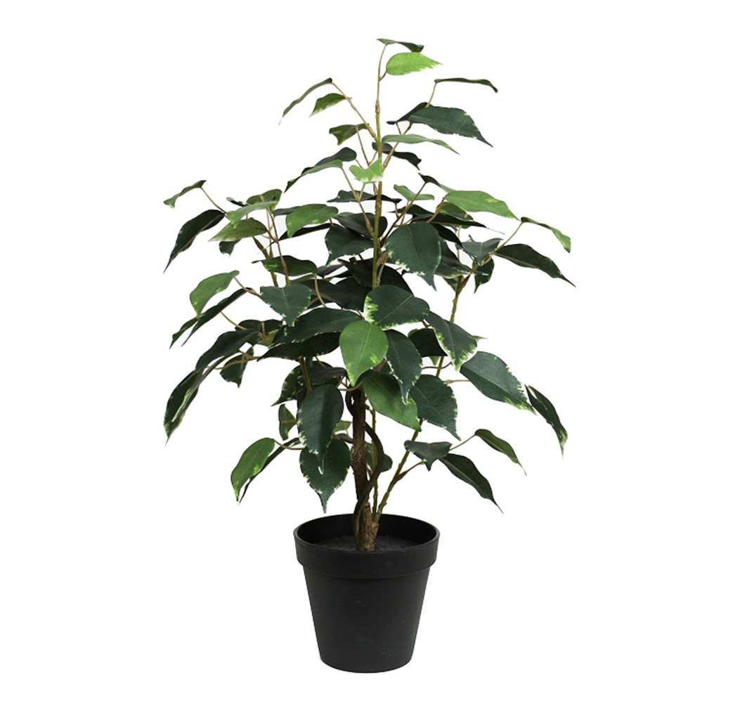 Ficus Benjamini 48cm im Topf LA Kunstpflanze künstliche Pflanzen Birkenfeige