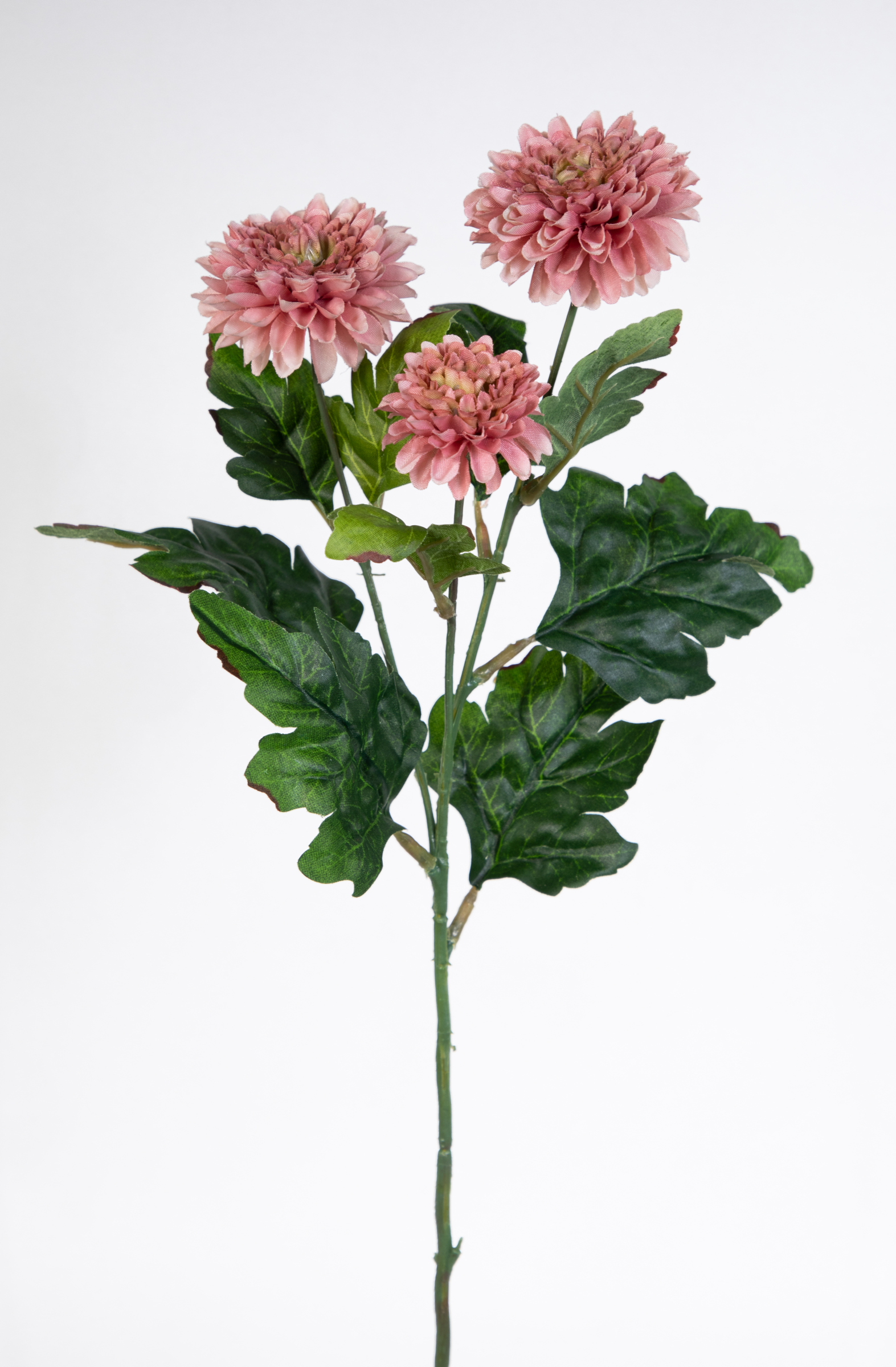 Asternzweig 54cm rosa CG Kunstblumen künstliche Aster Blumen Korbblütler Asteraceae