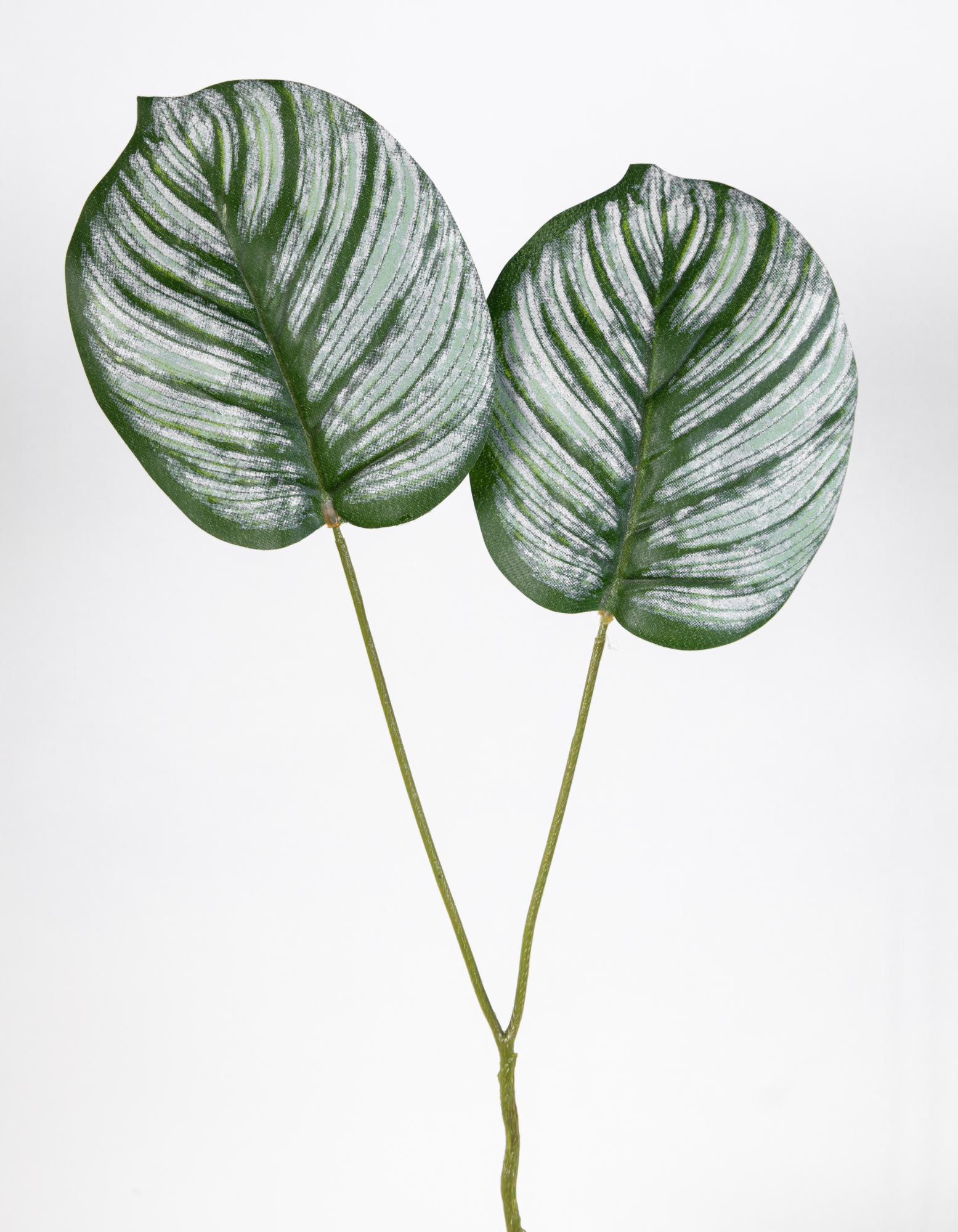 12 Stück Blattzweig Calathea mit 2 Blättern 52cm OG künstlicher Zweig Ast Blatt Kunstpflanzen