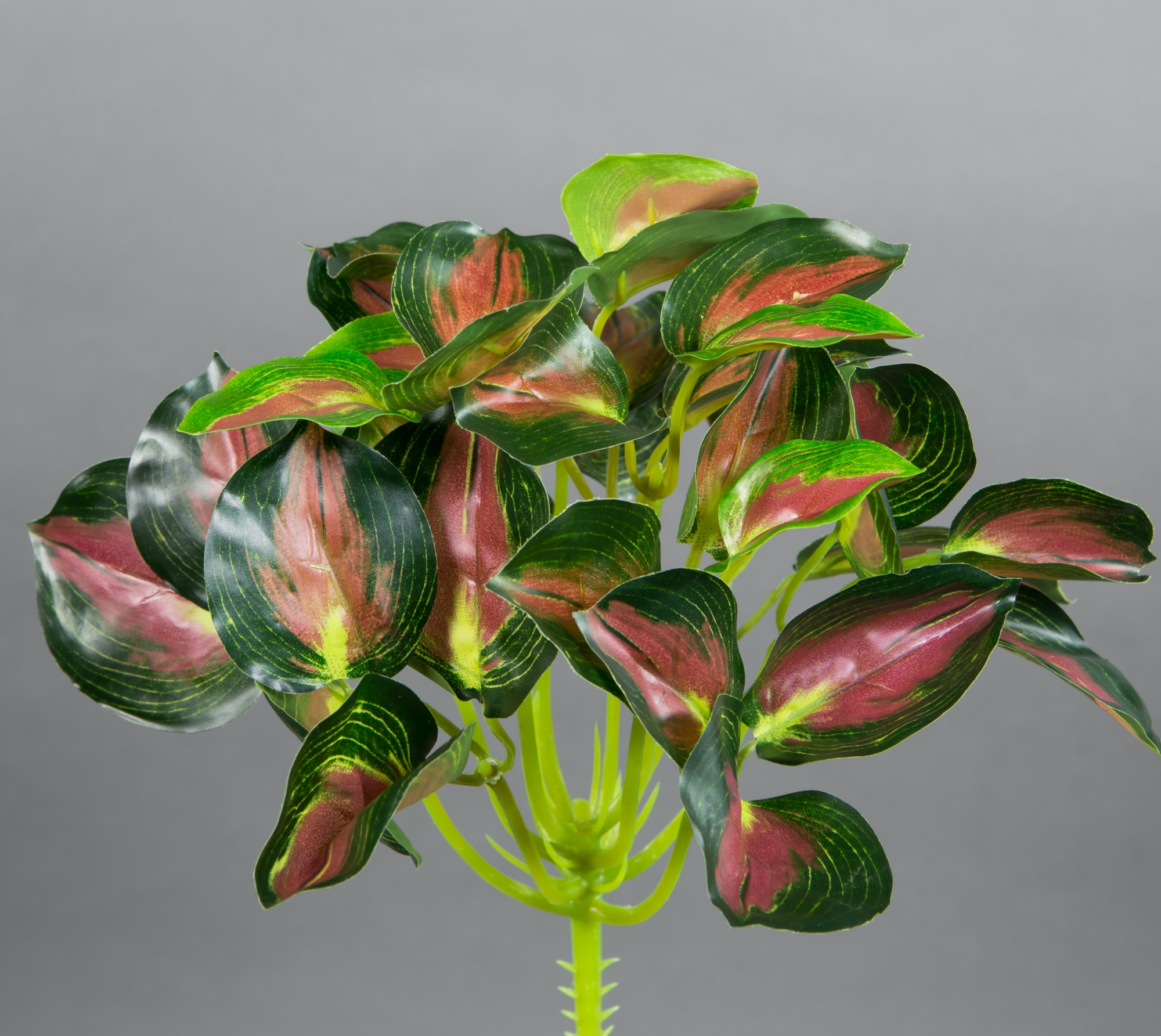 Buntnessel 22cm grün-rot ZF Kunstpflanzen künstliche Pflanzen Nessel