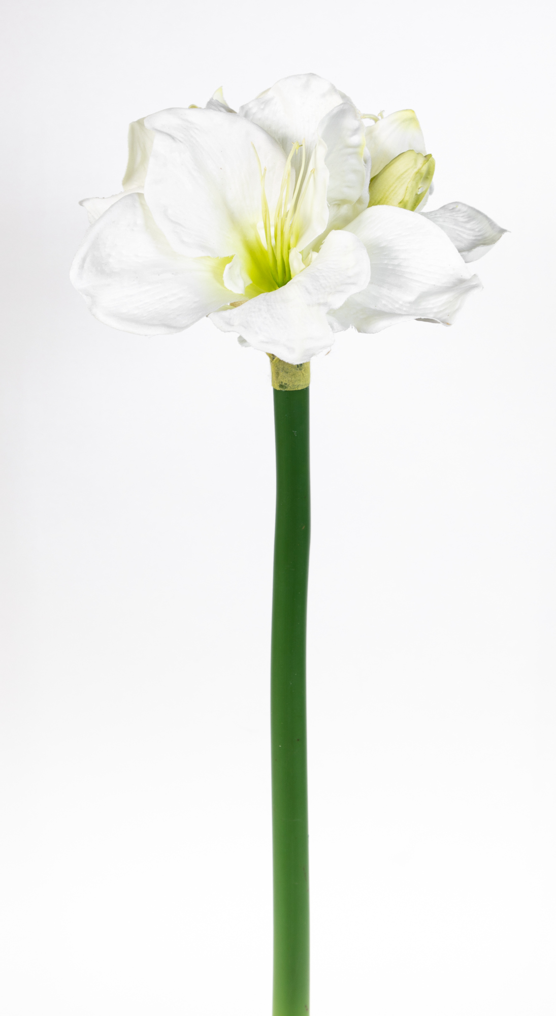 Große Amaryllis 72cm weiß CG Kunstpflanzen künstliche Blumen Pflanzen Ritterstern