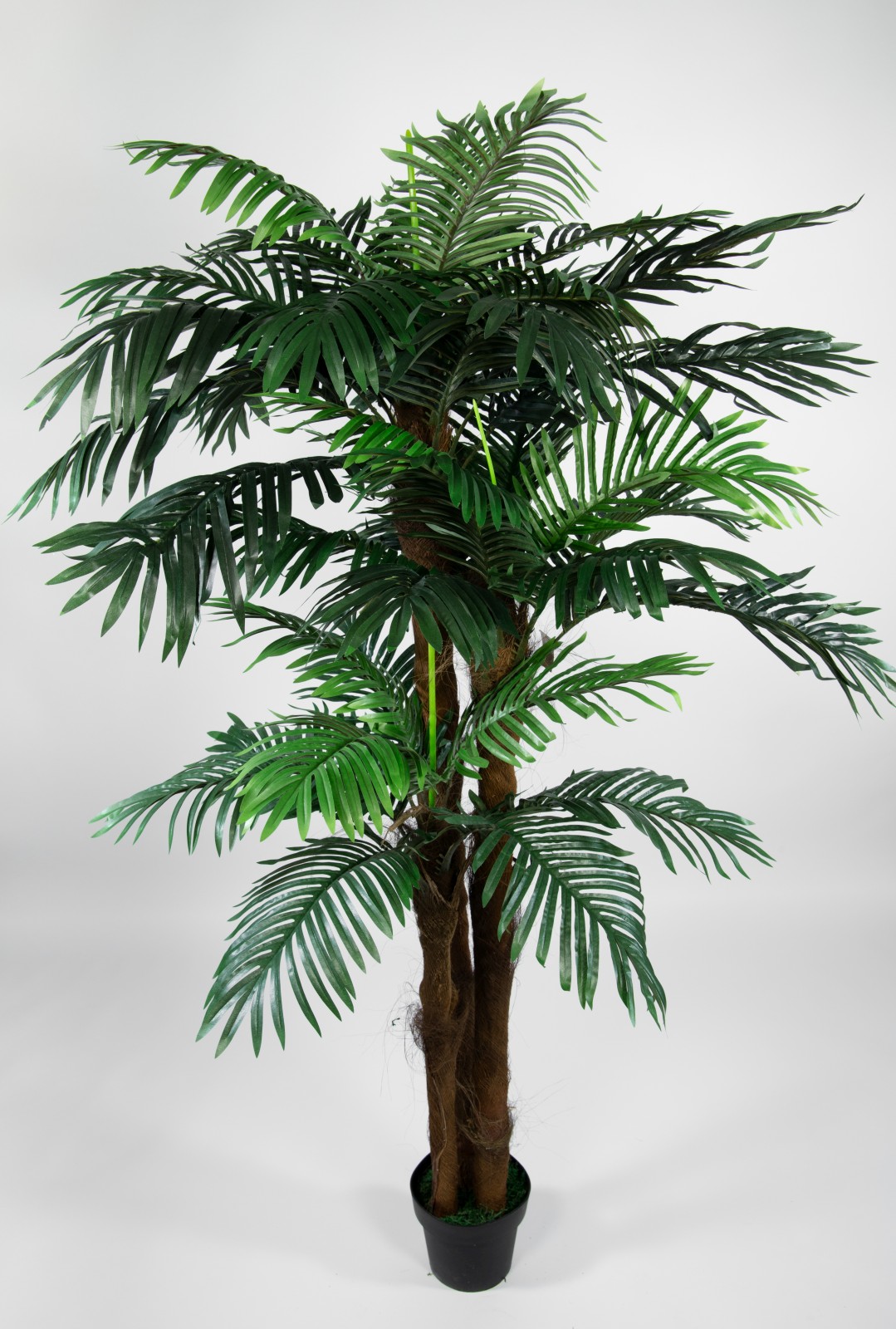 Phönixpalme 3-stämmig 180cm ZJ künstliche Palmen Palme Kunstpalmen Kunstpflanzen Dekopalme