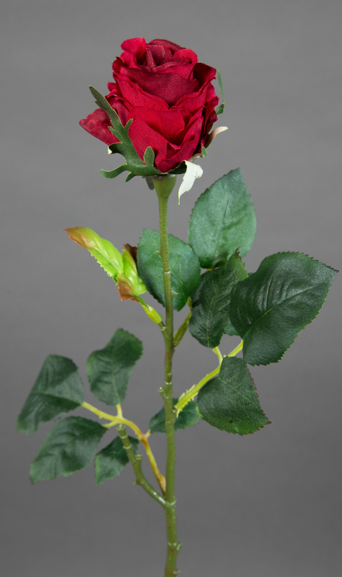 12 Stück Rose Elena 45cm bordeaux PM Seidenblumen Kunstblumen künstliche Blumen Rosen