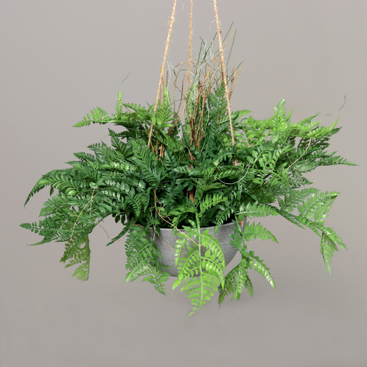 Farnbusch im Hängetopf 30cm / 60cm DP Kunstpflanzen Hängeampel Blumenampel künstliche Pflanzen Farn