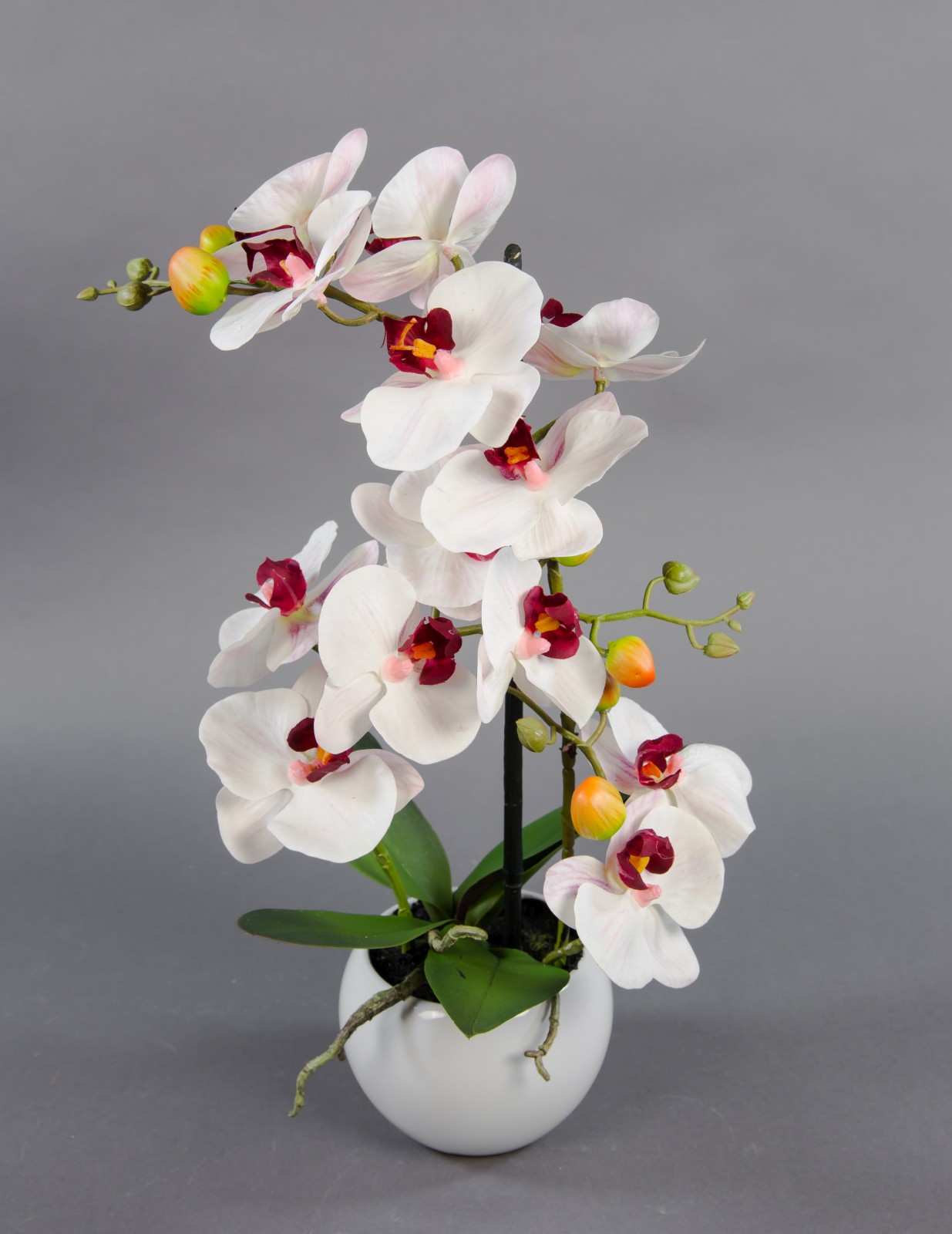 Orchidee Real Touch 50x20cm weiß-bordeaux in weißer Keramikvase GA Kunstblumen künstliche Blumen