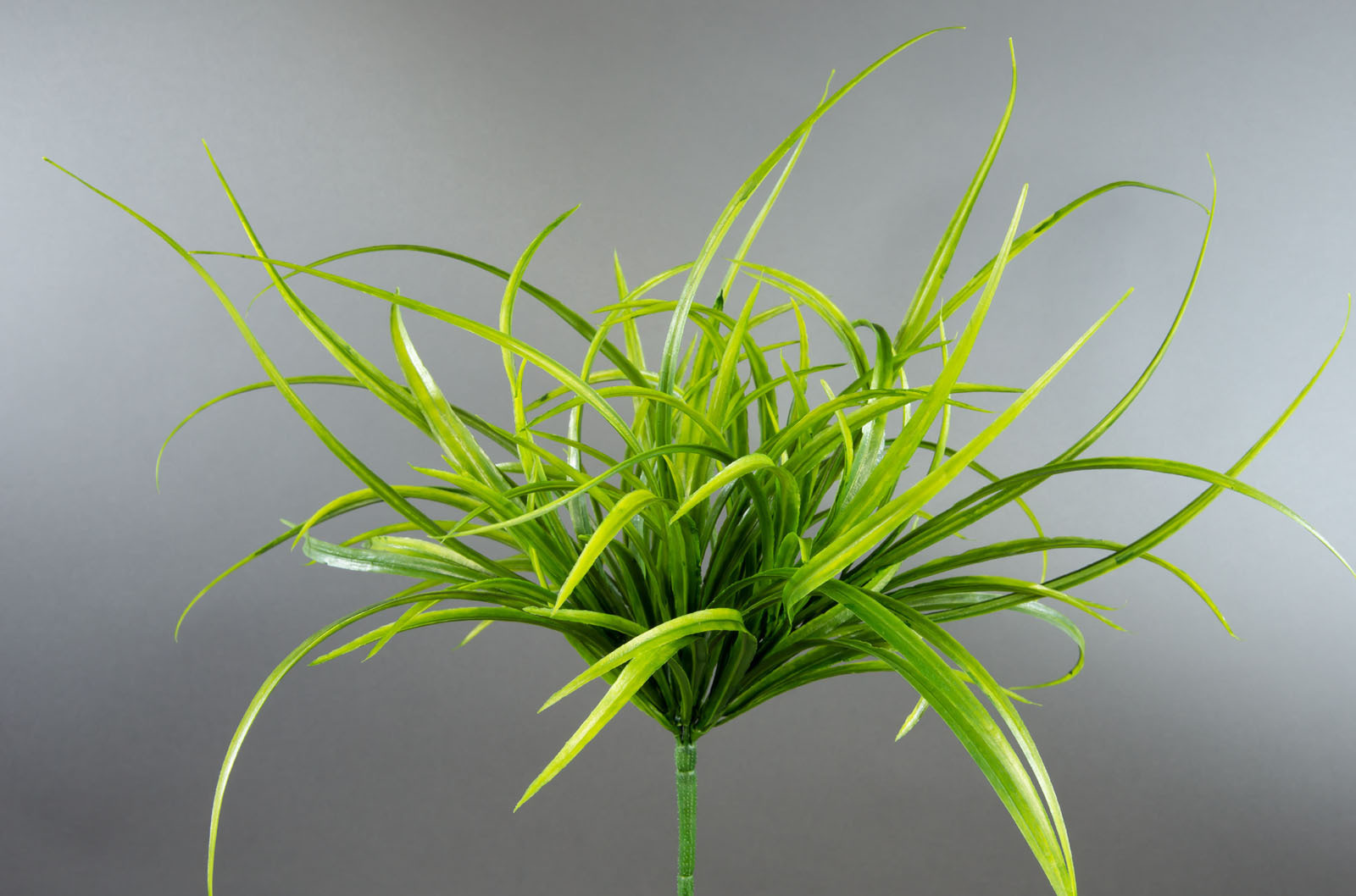 Grasbusch 38cm -ohne Topf- DP künstliche Pflanzen Kunstpflanzen Dekogras Kunstgras