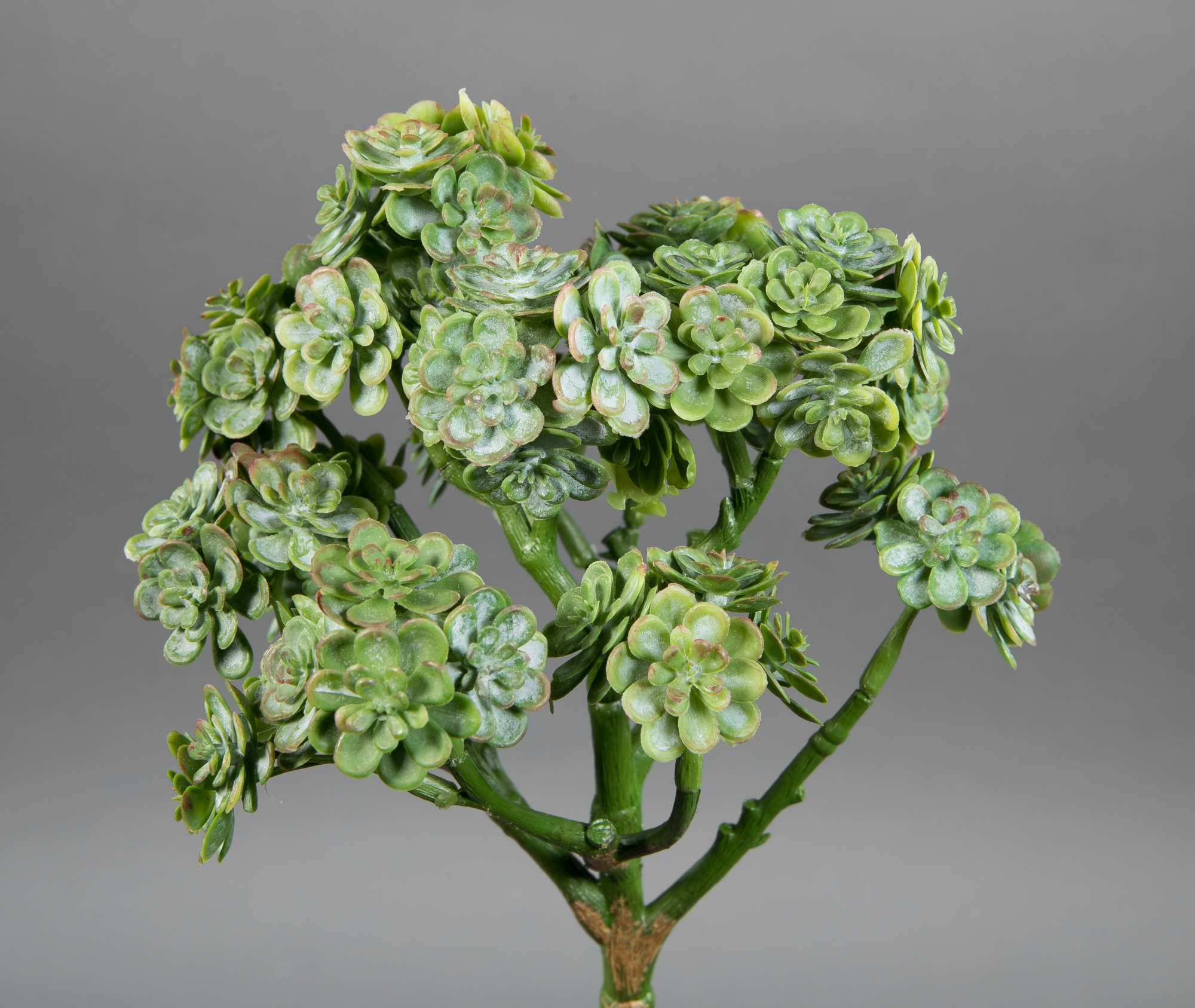 Sukkulente Sempervivum / Hauswurz 24cm grün -ohne Topf- DP Kunstpflanzen künstliche Sukkulenten