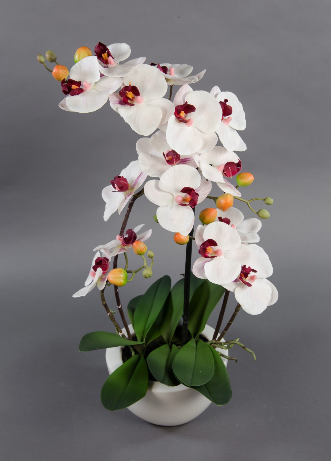 Orchidee Real Touch 58x28cm weiß-bordeaux in weißer Keramikschale GA Kunstblumen künstliche Blumen