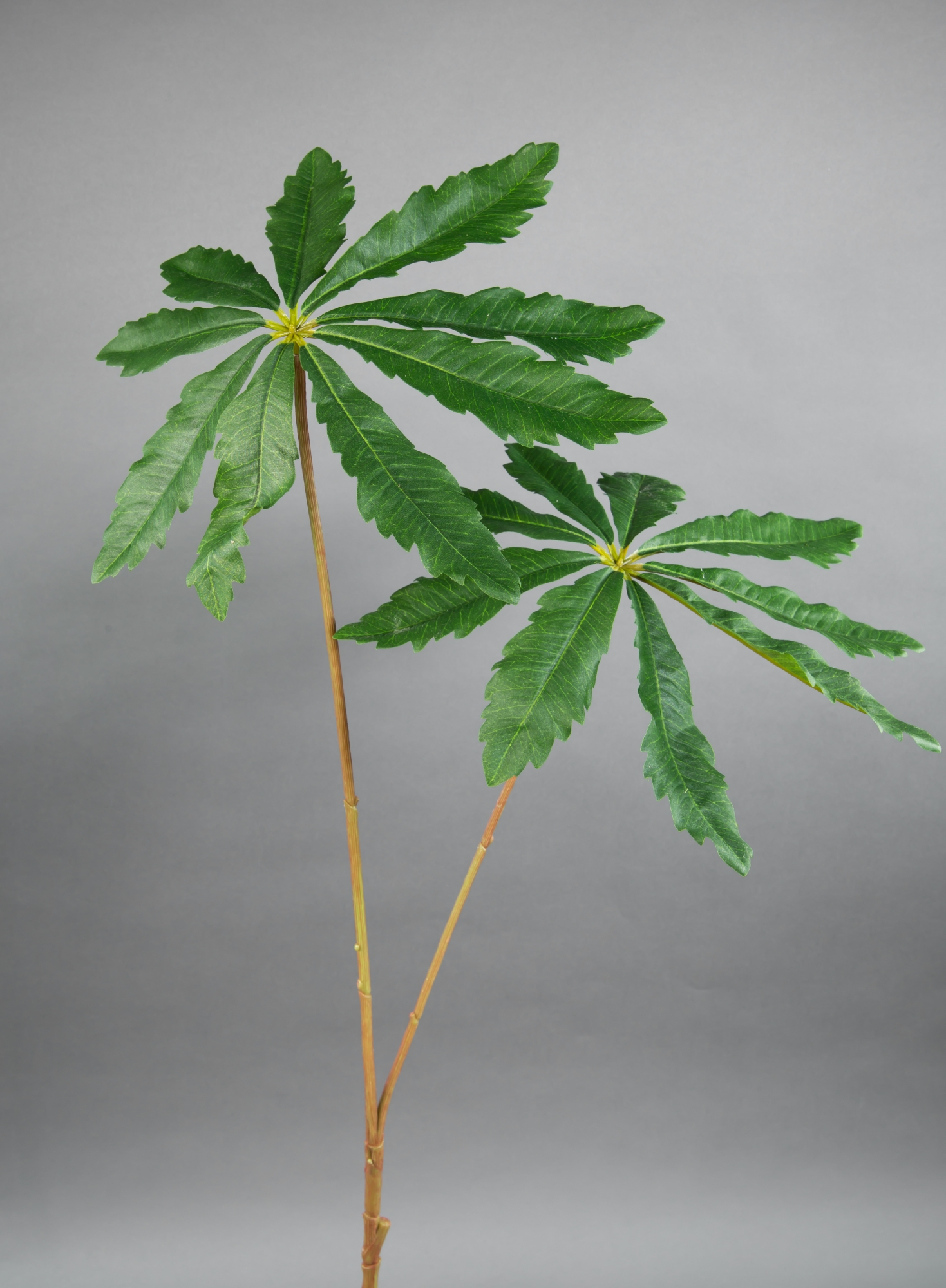 Aralienblattzweig 100cm mit 2 Blättern GA künstliches Aralienblatt Aralie Blatt
