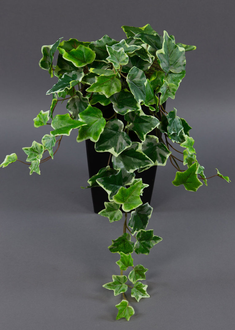 Efeubusch Real Touch 55cm grün-weiß DP Kusntpflanzen künstliches Efeu Efeuranke