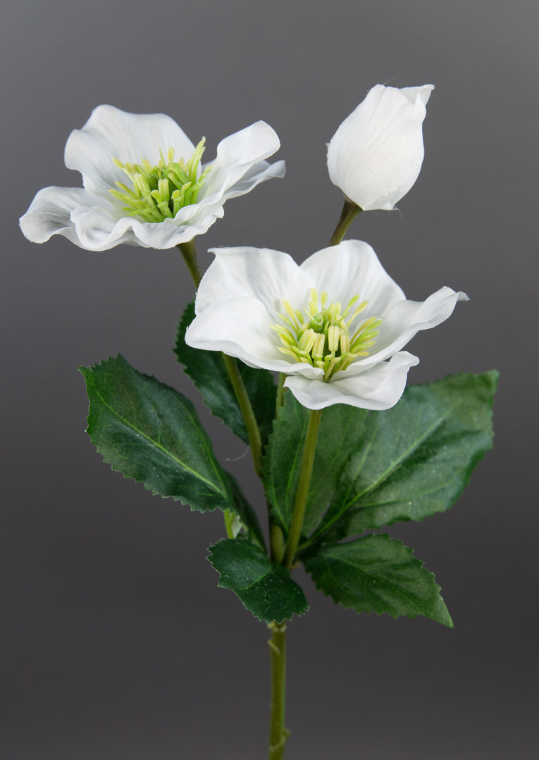 Christrose 34cm weiß DP Kunstblumen Seidenblumen künstliche Blumen Christrosenzweig Helleborus