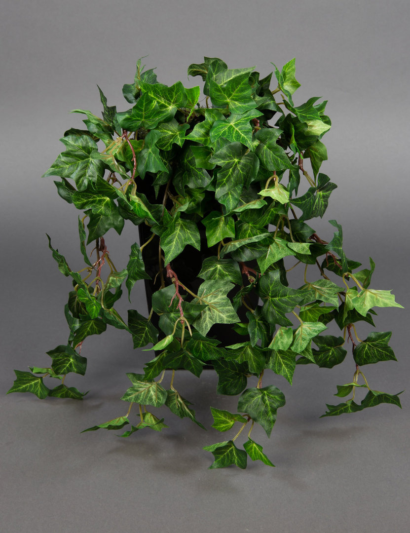 Waldefeubusch 45cm DA Kunstpflanzen künstliches Efeu Efeuranke kuenstliche Pflanzen Efeubusch