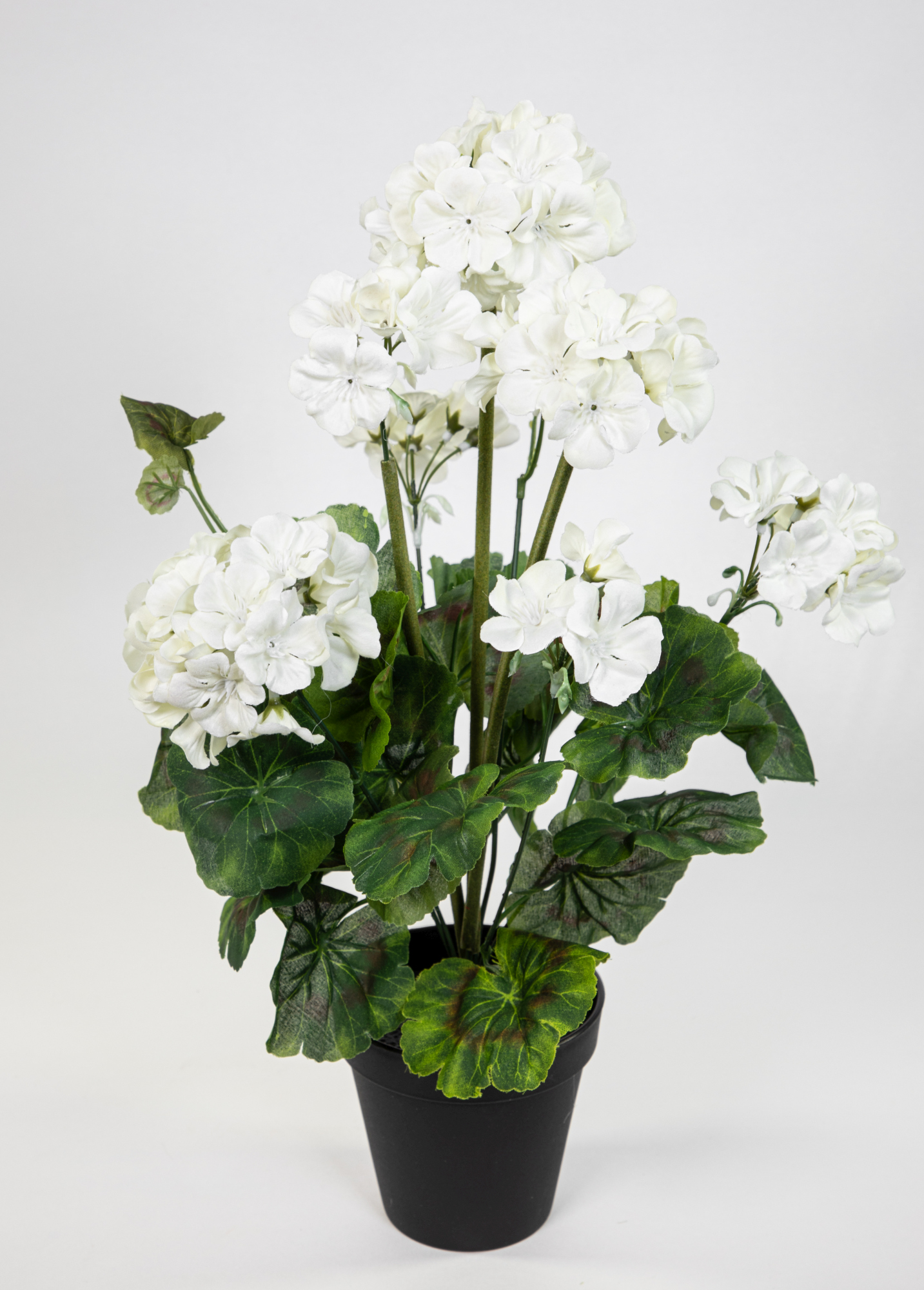Künstliche Geranie im Topf 44cm weiß JA Kunstblumen künstliche Pelargonium Blumen Pflanzen