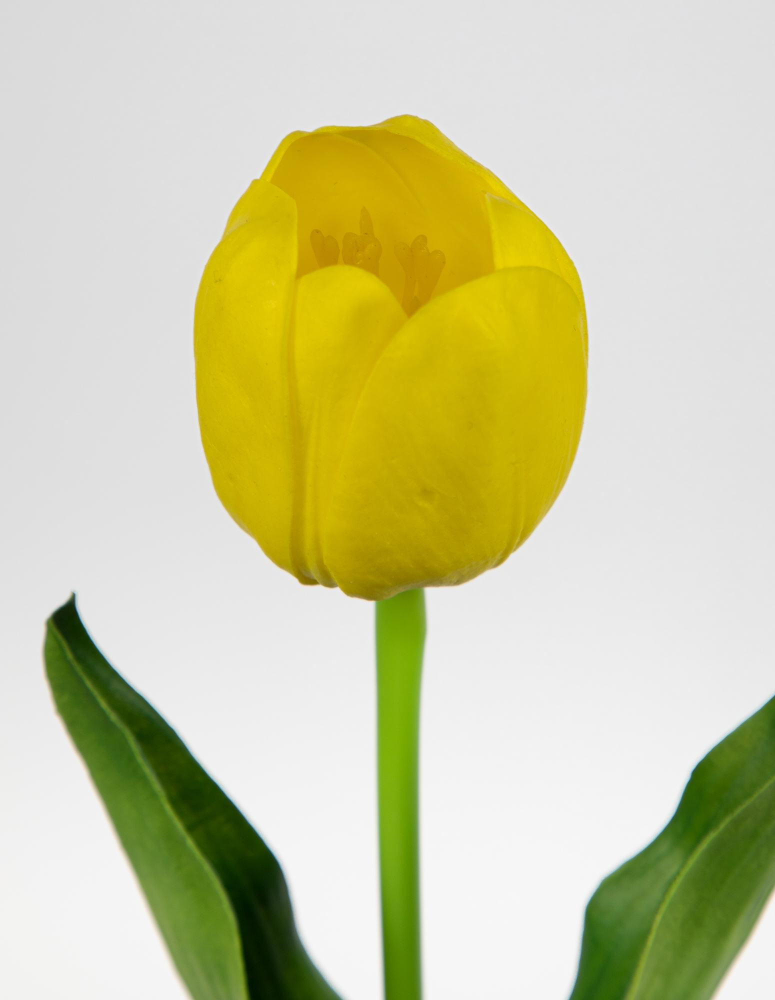 Künstliche Tulpe PU 50cm gelb ZJ Real Touch Kunstblumen künstliche Blumen  Tulpen