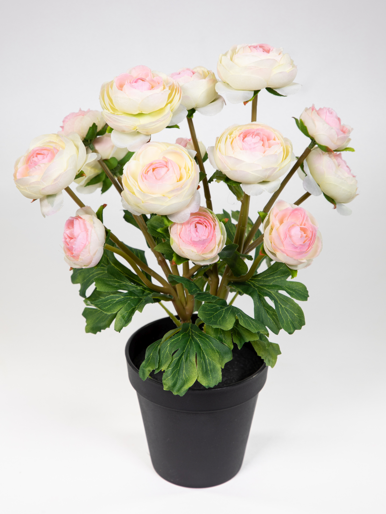 Ranunkelbusch Natural 32cm weiß-rosa im Topf DP Kunstpflanzen Kunstblumen künstliche Ranunkel Blumen