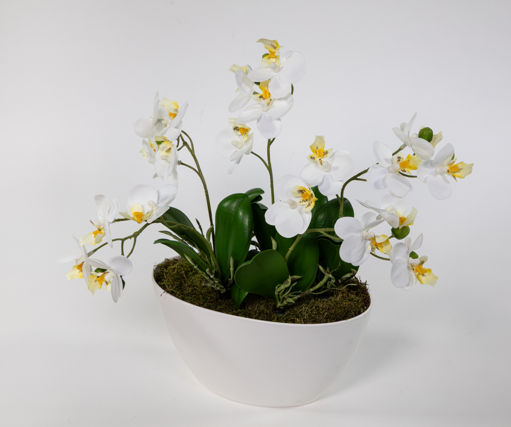 Orchideen-Arrangement Real Touch 36x34cm weiß in weißer Dekoschale DP künstliche Orchidee Blumen
