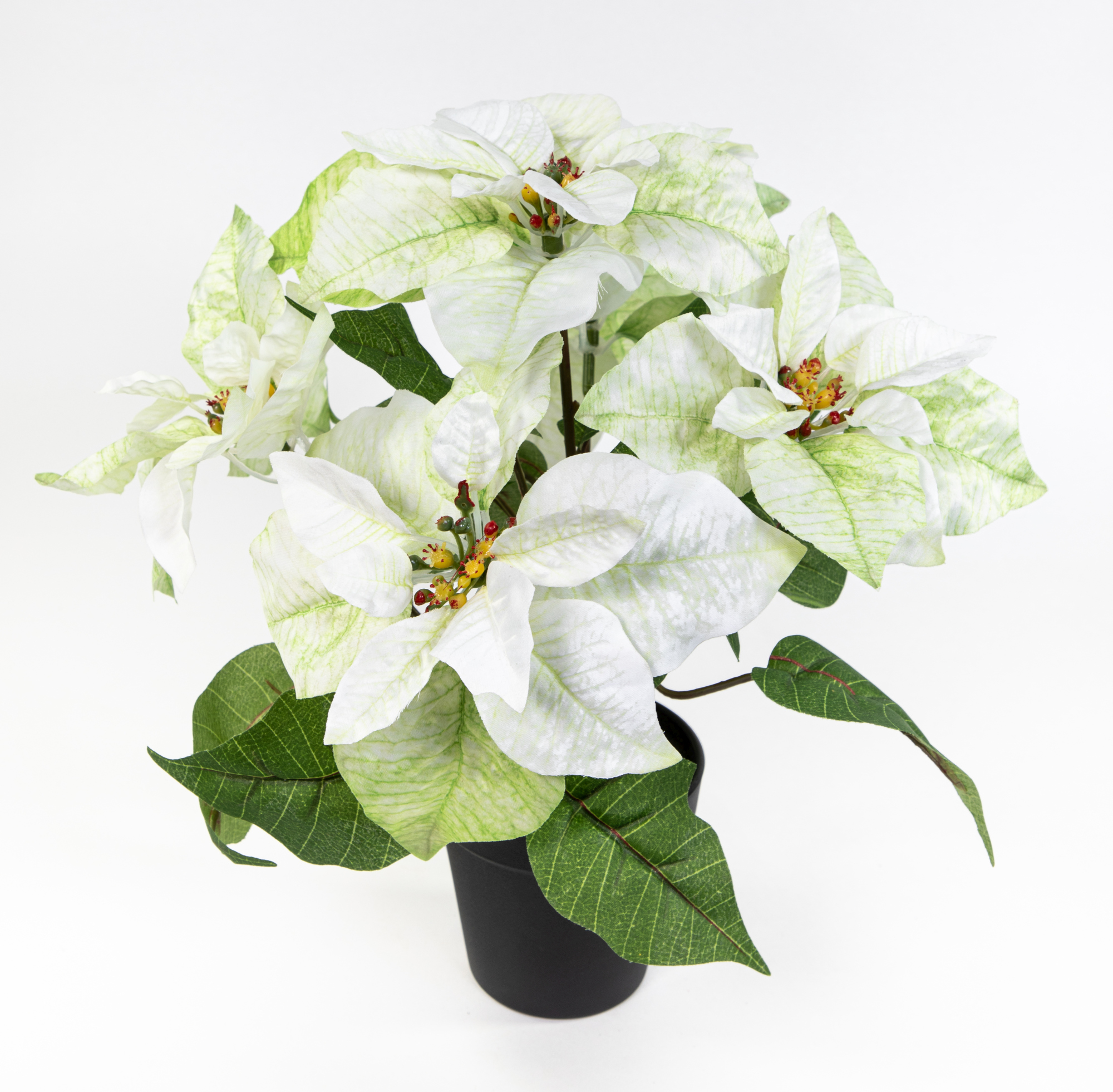 Weihnachtsstern 36cm weiß-grün im Topf LM künstliche Blumen Kunstpflanzen Kunstblumen Poinsettie