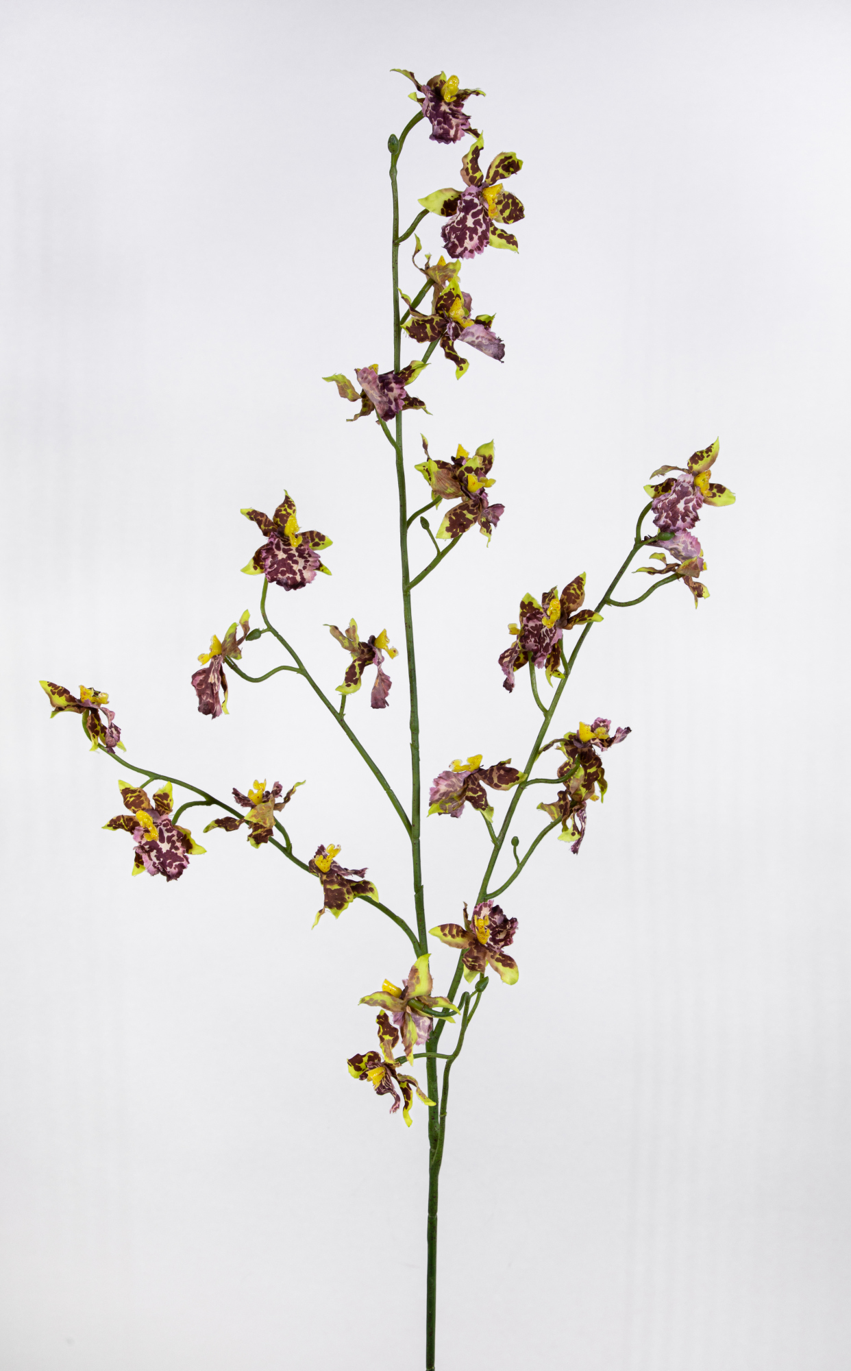 Orchideenzweig Oncidium 98cm bordeaux-creme-gelb FT Kunstblumen künstliche Orchidee Blumen Seidenblumen