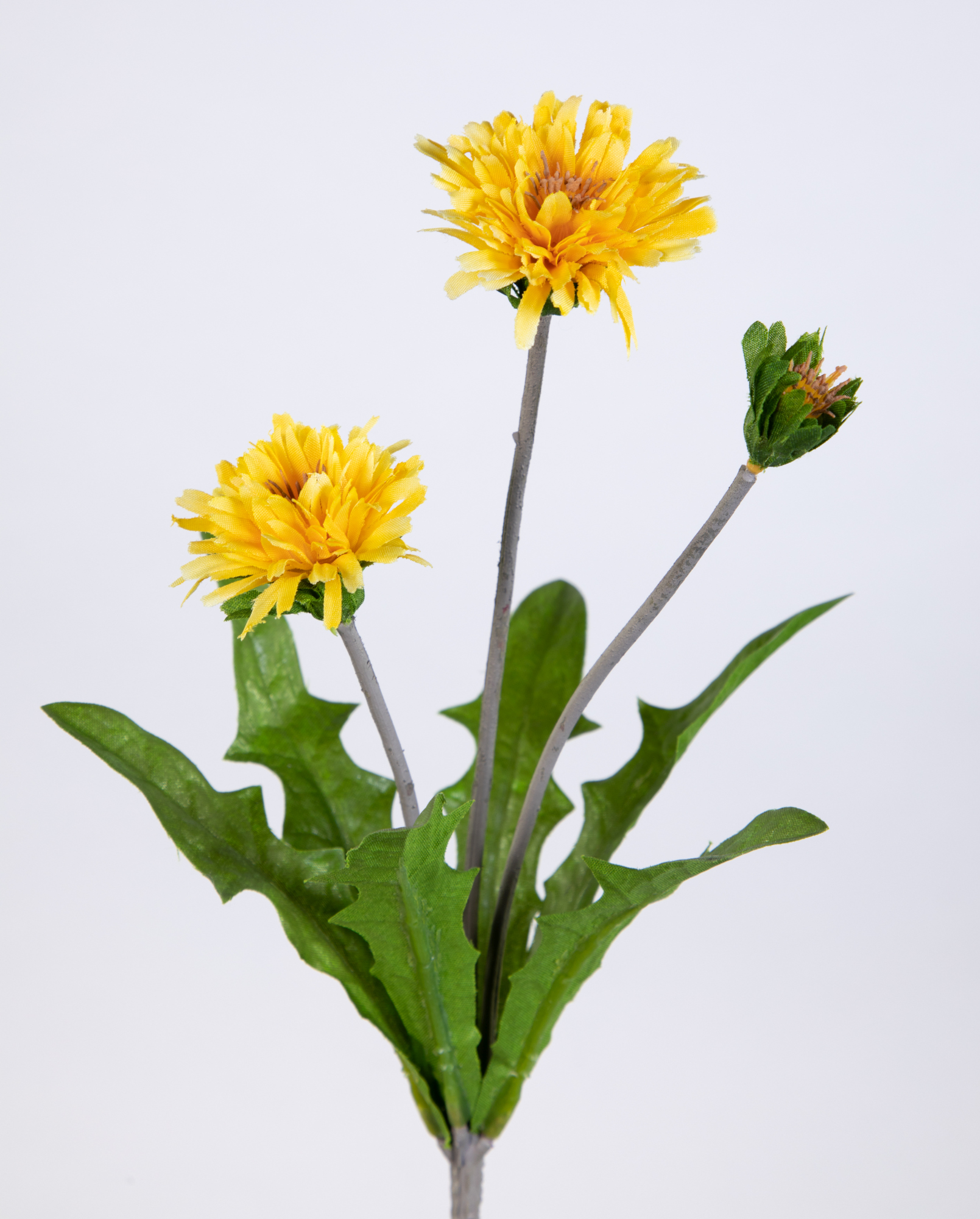 Löwenzahn 25cm mit 3 Blüten FT Kunstpflanzen künstliche Pflanzen Blumen Kunstblumen Taraxacum Pusteblume