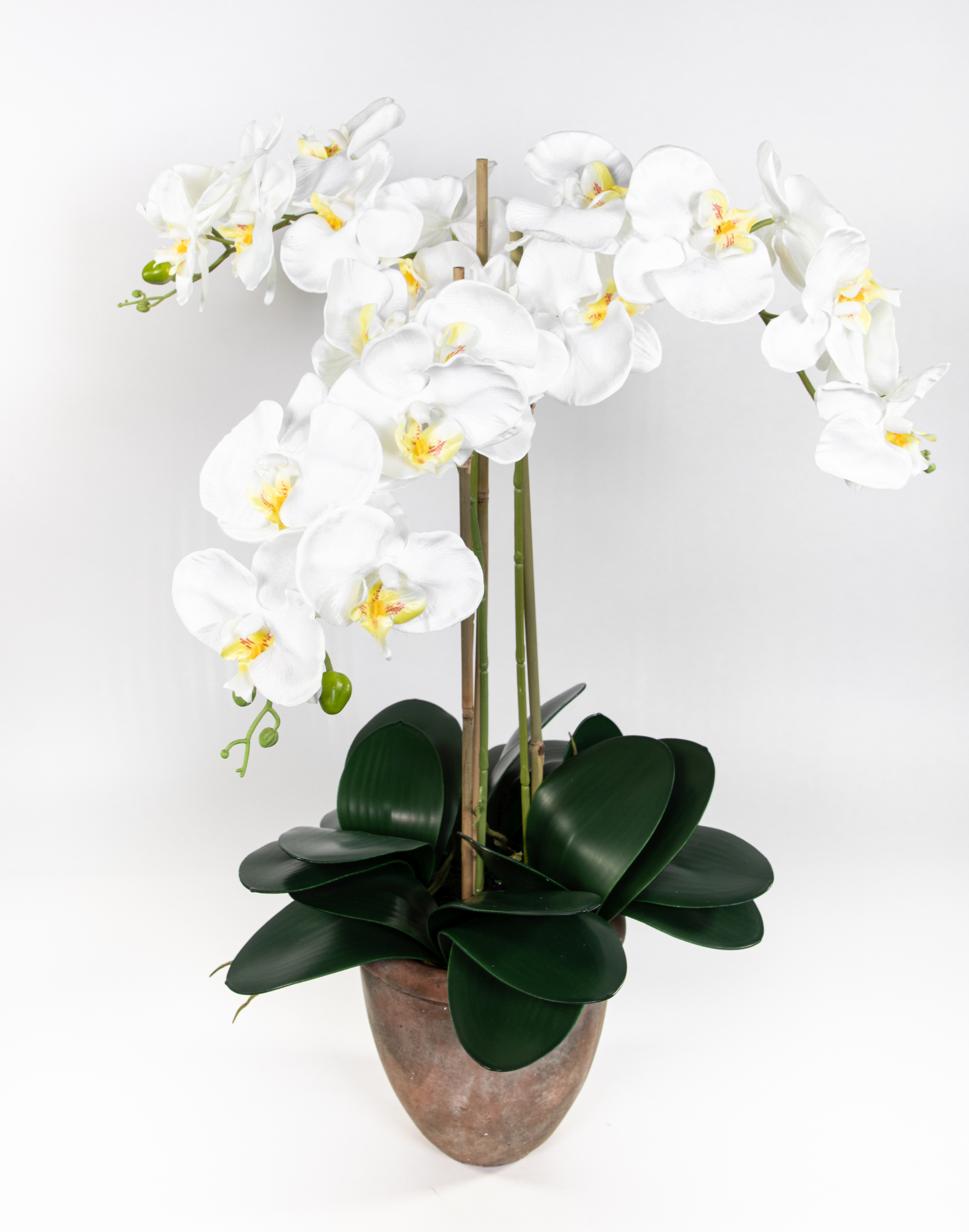 Orchidee 75x60cm weiß im Terracottatopf GA künstliche Phalaenopsis Blumen Kunstblumen
