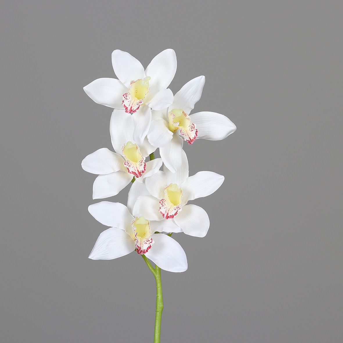 Cymbidie 65cm weiß DP Kunstlbumen künstliche Orchiedee Orchideenzweig Blumen