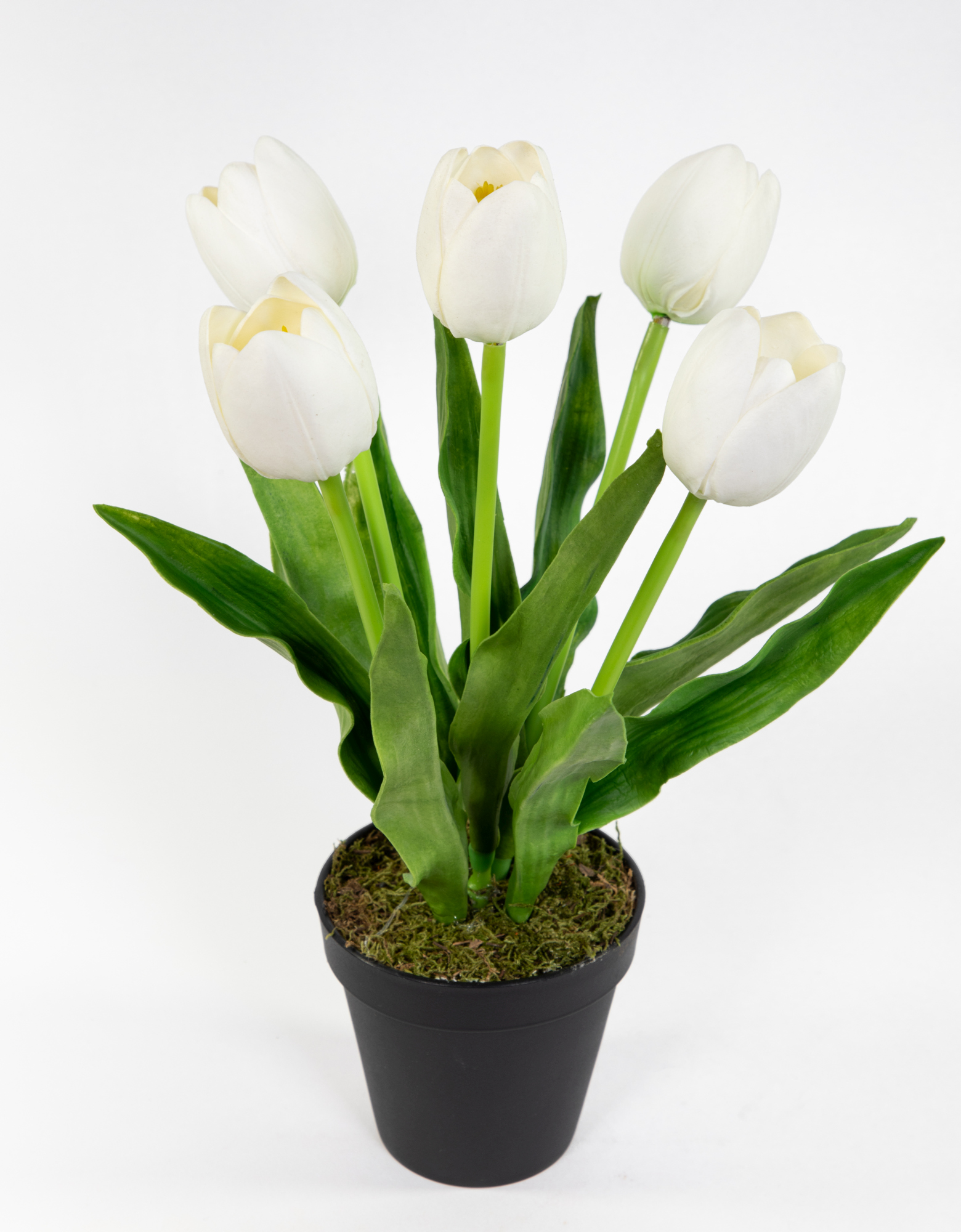 Künstliche Tulpen PU Real Touch 36cm weiß im Topf ZF Kunstblumen künstliche Blumen Tulpen