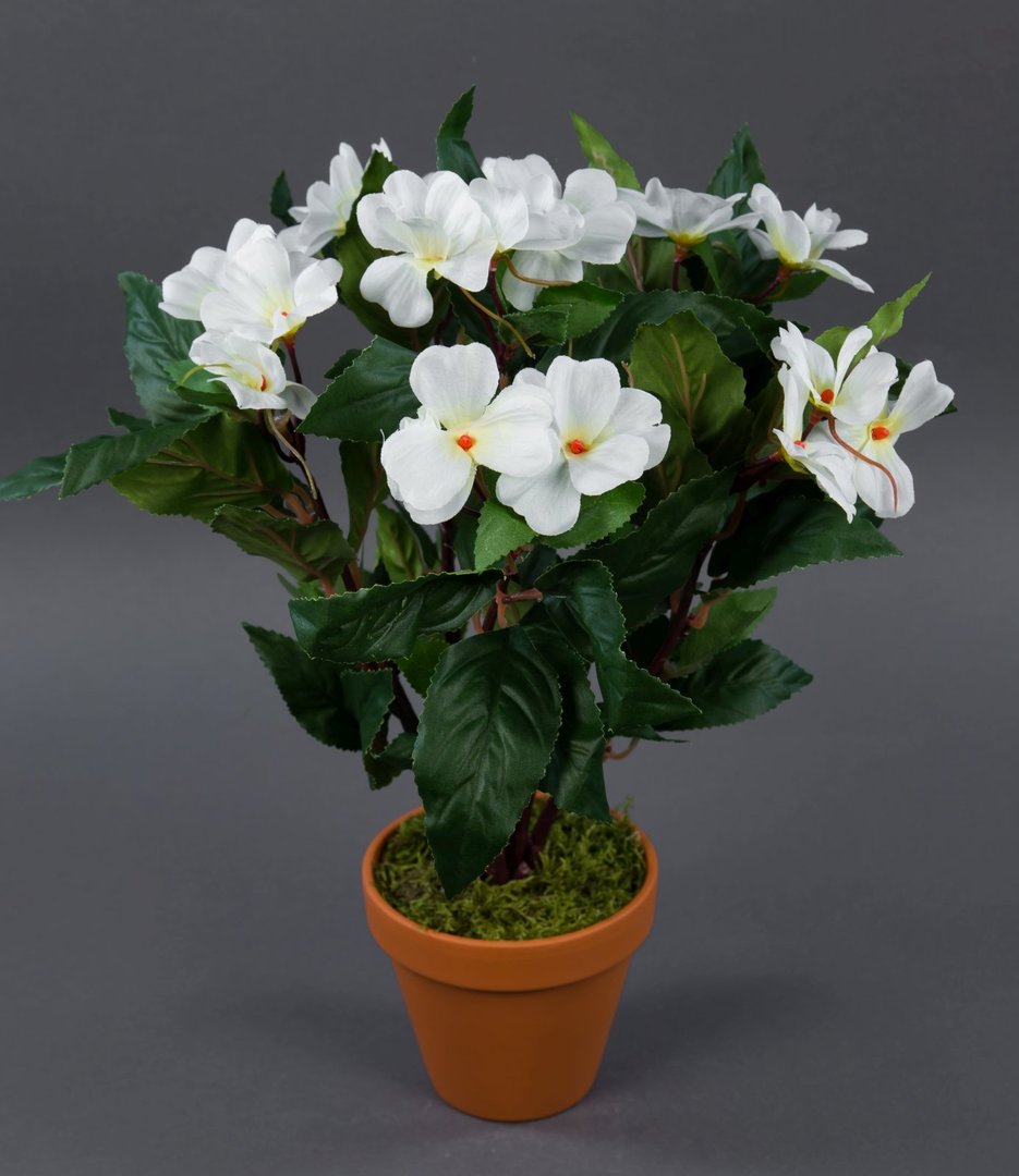 Impatiens / Fleißiges Lieschen 38cm weiß im Topf LM künstliche Blumen Kunstpflanzen Kunstblumen